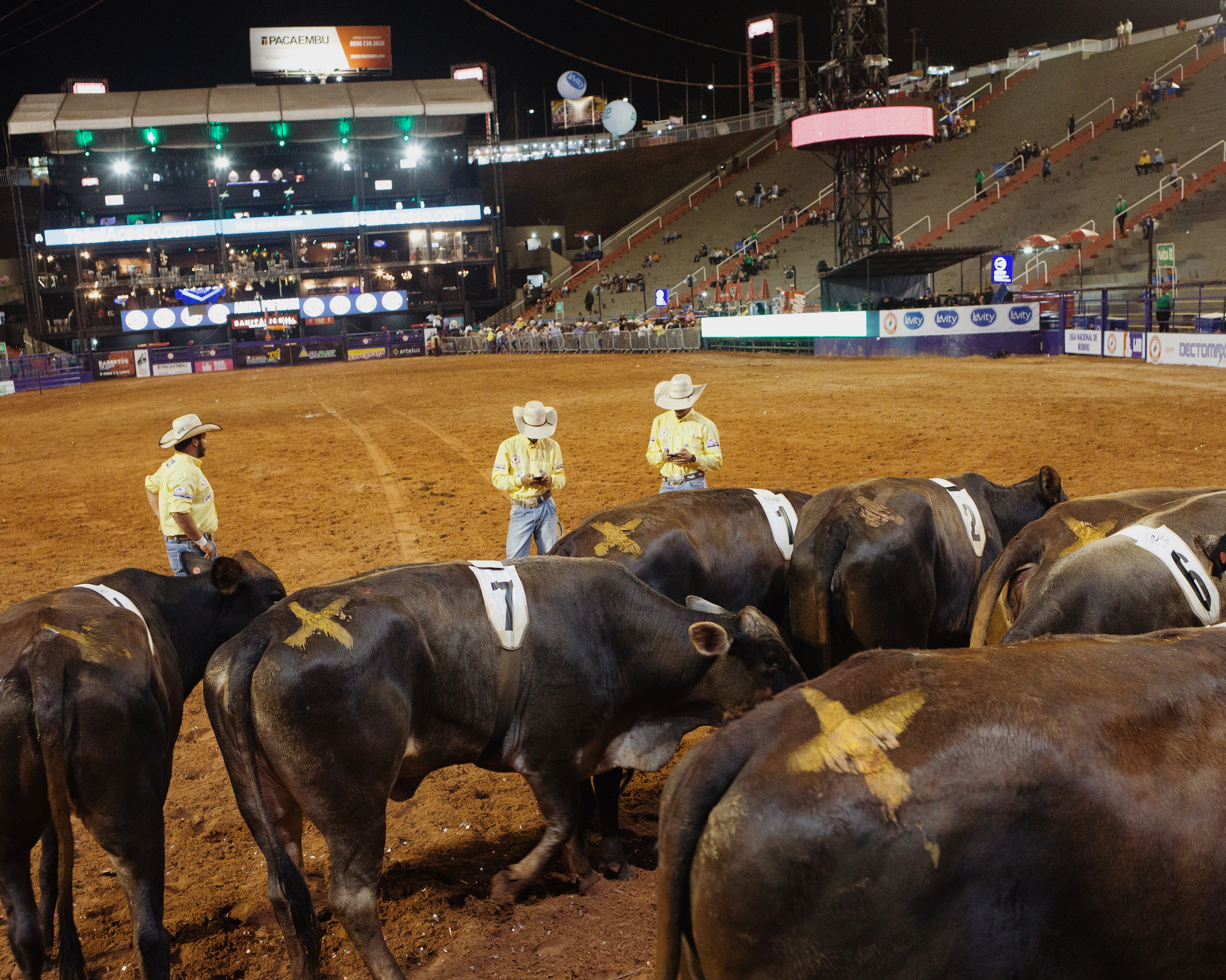  In The American South   Barretos Festa do Peao Park  Barretos, Sao Paulo 2018 Index