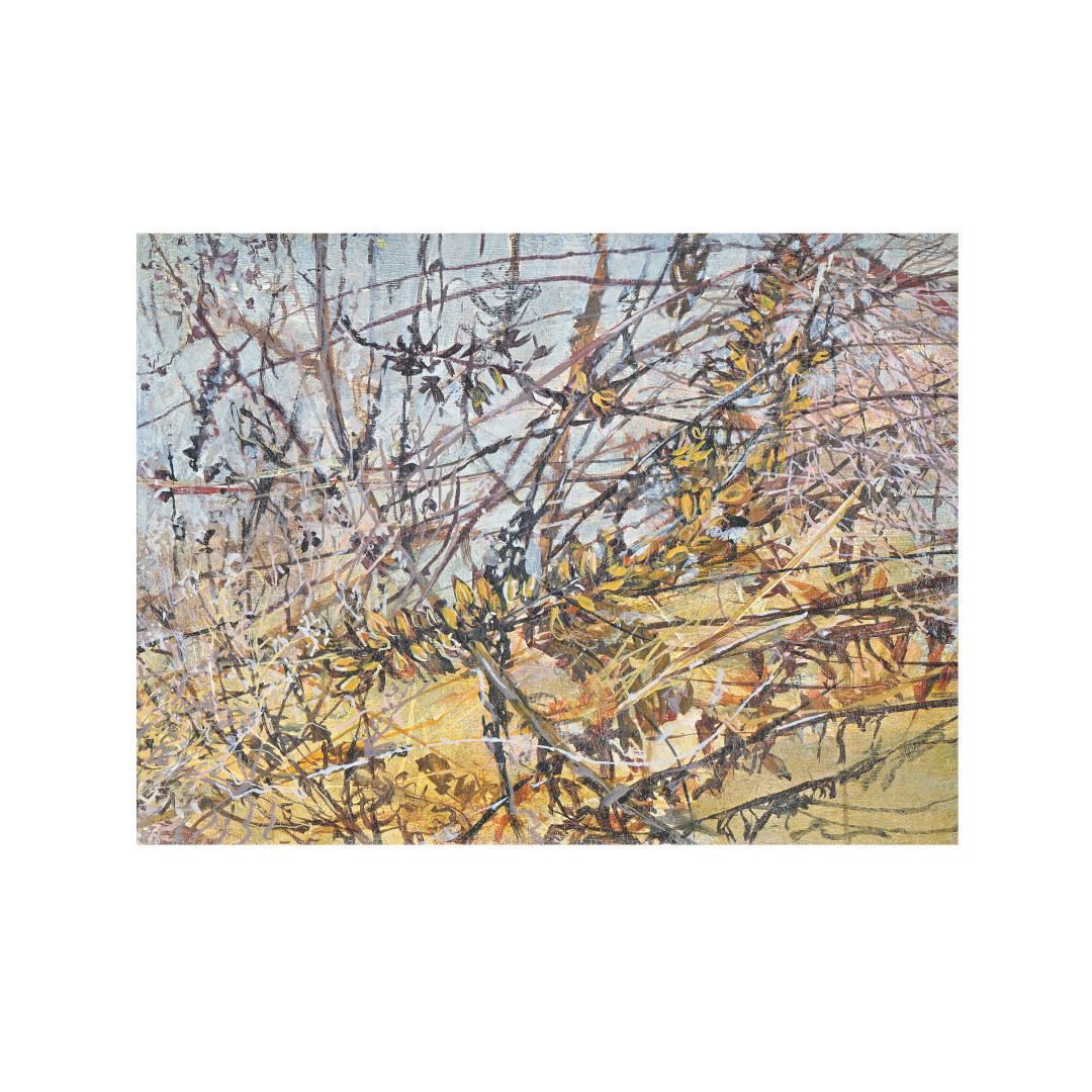 Helen Thomas, With Buddleja, Charlesworth Way, February, 2021, Acrylic on Paper (signed on reverse)