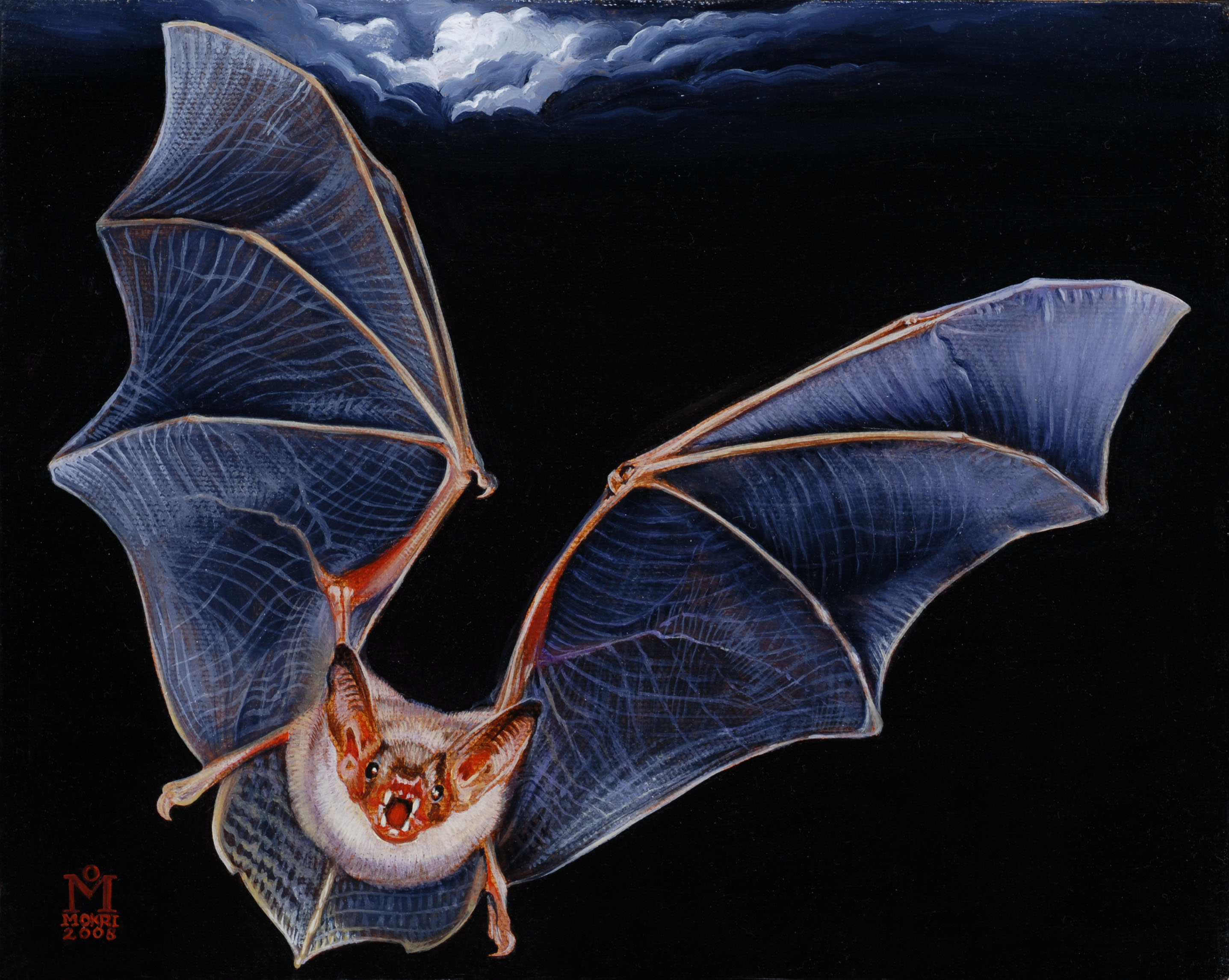 Bat, 10 x 8", oil/canvas