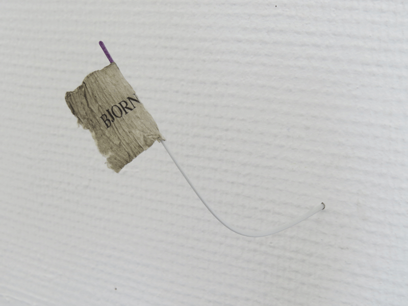 ⬆ white flag waving, 2017