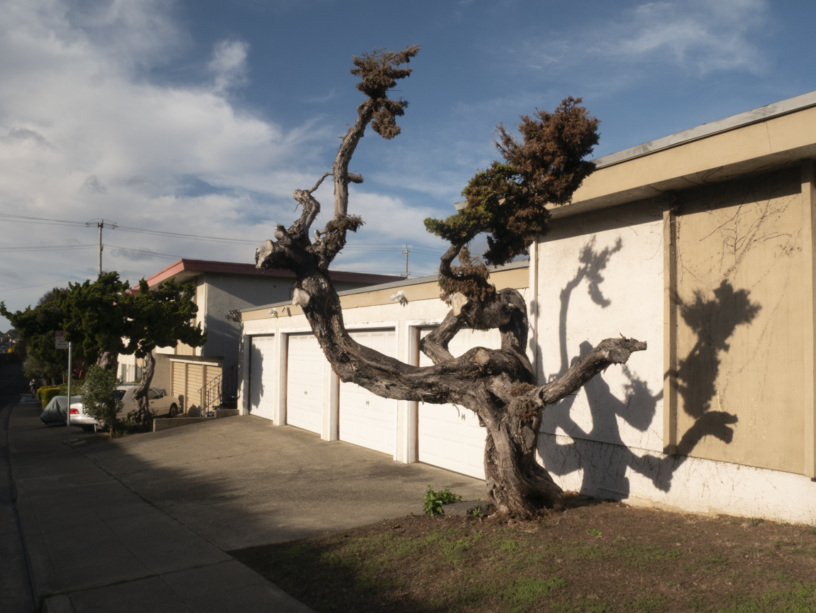 San Luis Street, El Cerrito