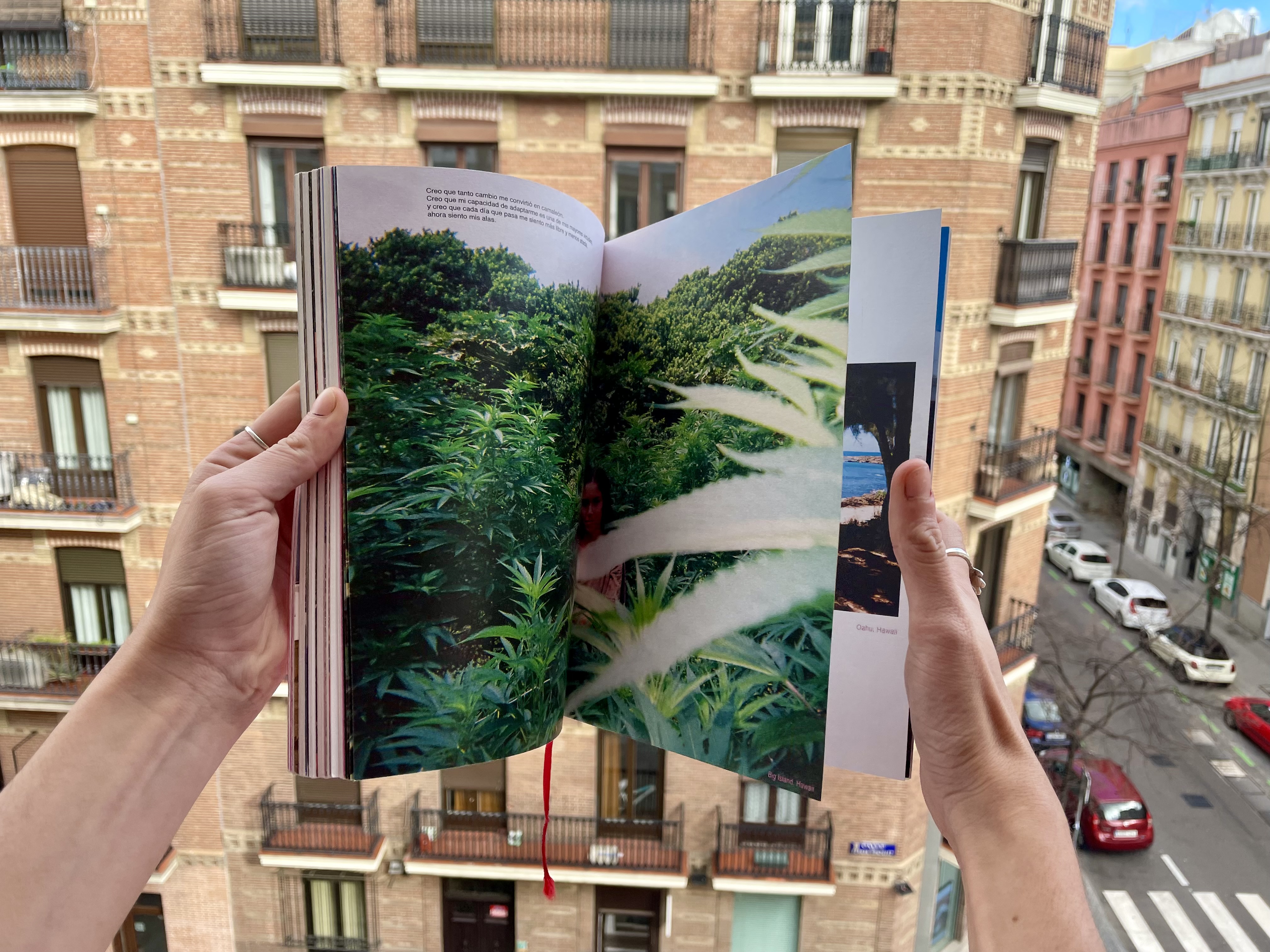 1. "Un pequeño libro de fotos y palabras"