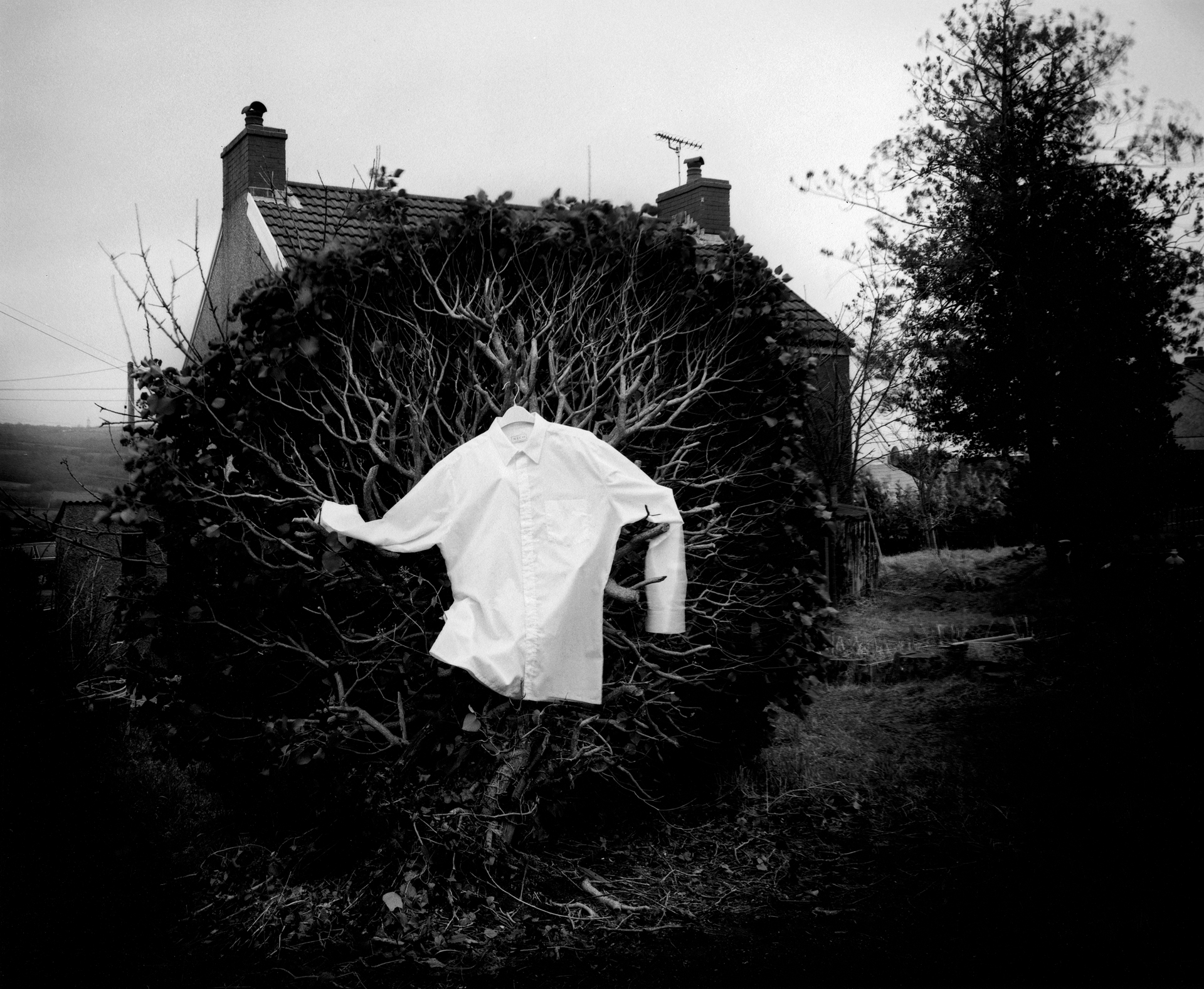 The Shadow (gold and mud), 1997, 50 x 41 cm, 51 x 41 cm, Selenium Toned, Silver Gelatine Print