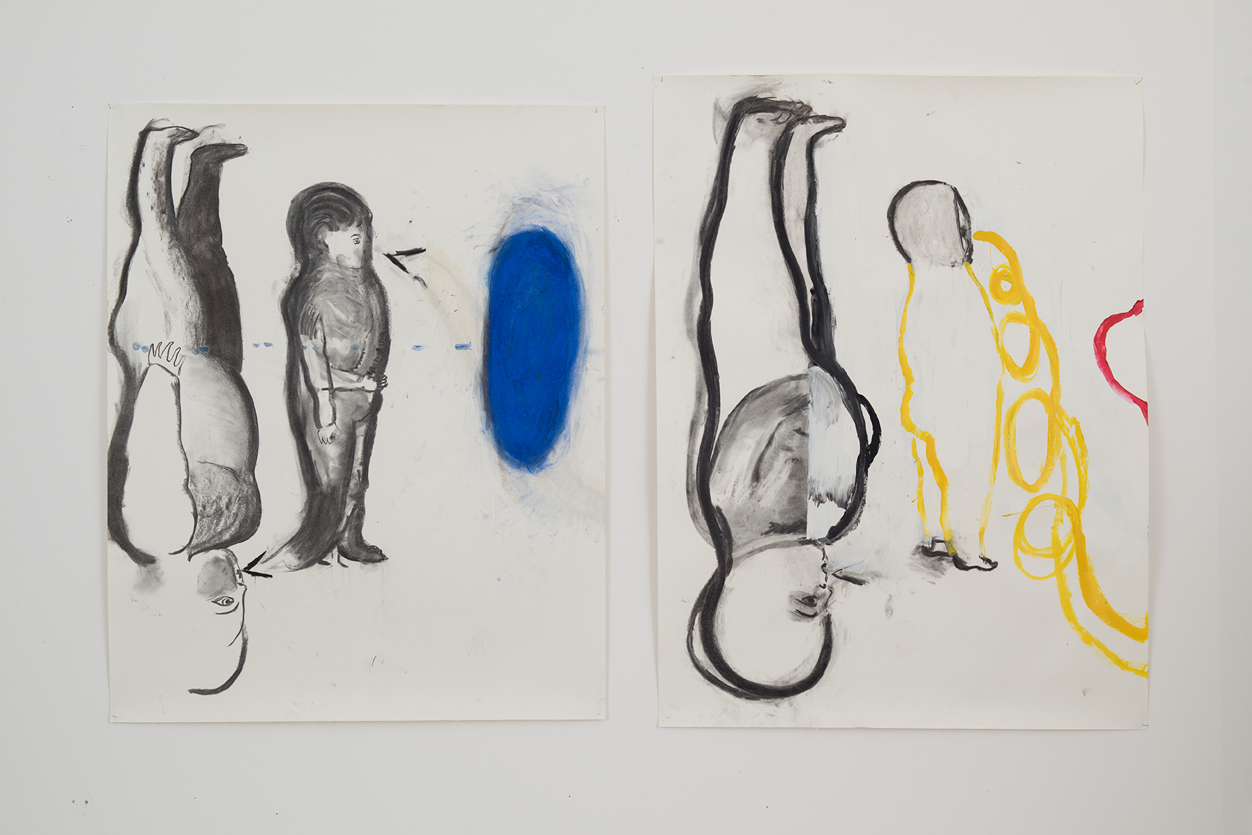 Geese Cage, 98 x 122 cm, 98  x 129.5 cm, charcoal, pastel and lacquer on paper,  2017