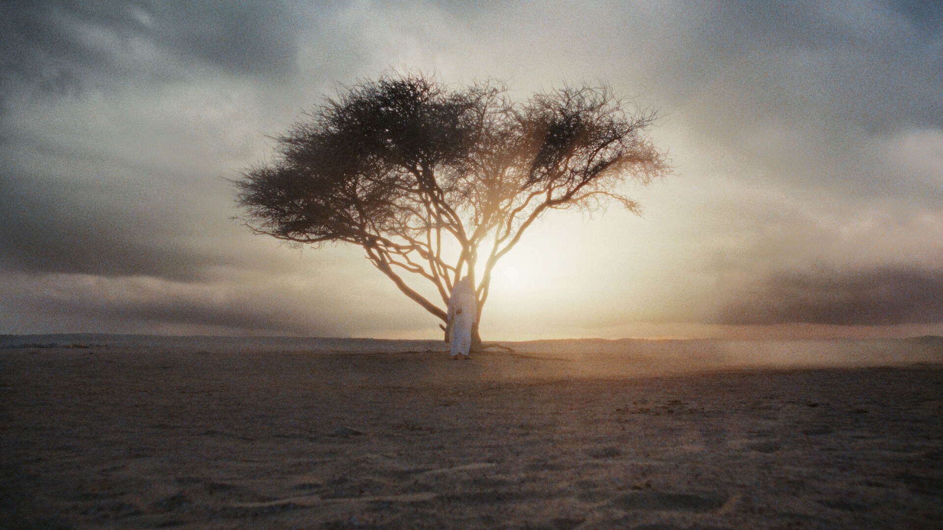  FIFA World Cup / Qatar 2022