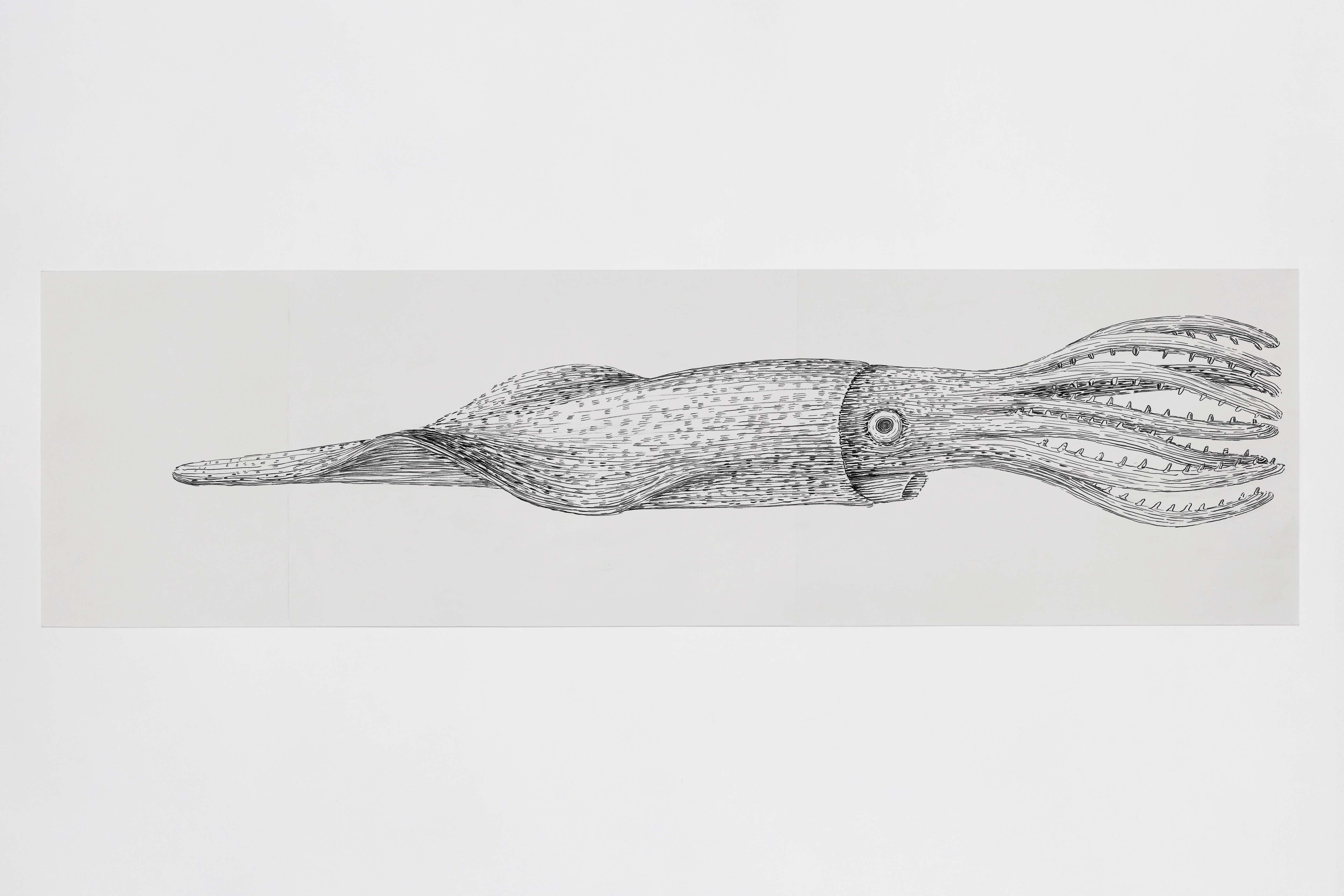 Belemnite, ink on paper, 297 x 1,050 mm - Buckinghamshire County Museum