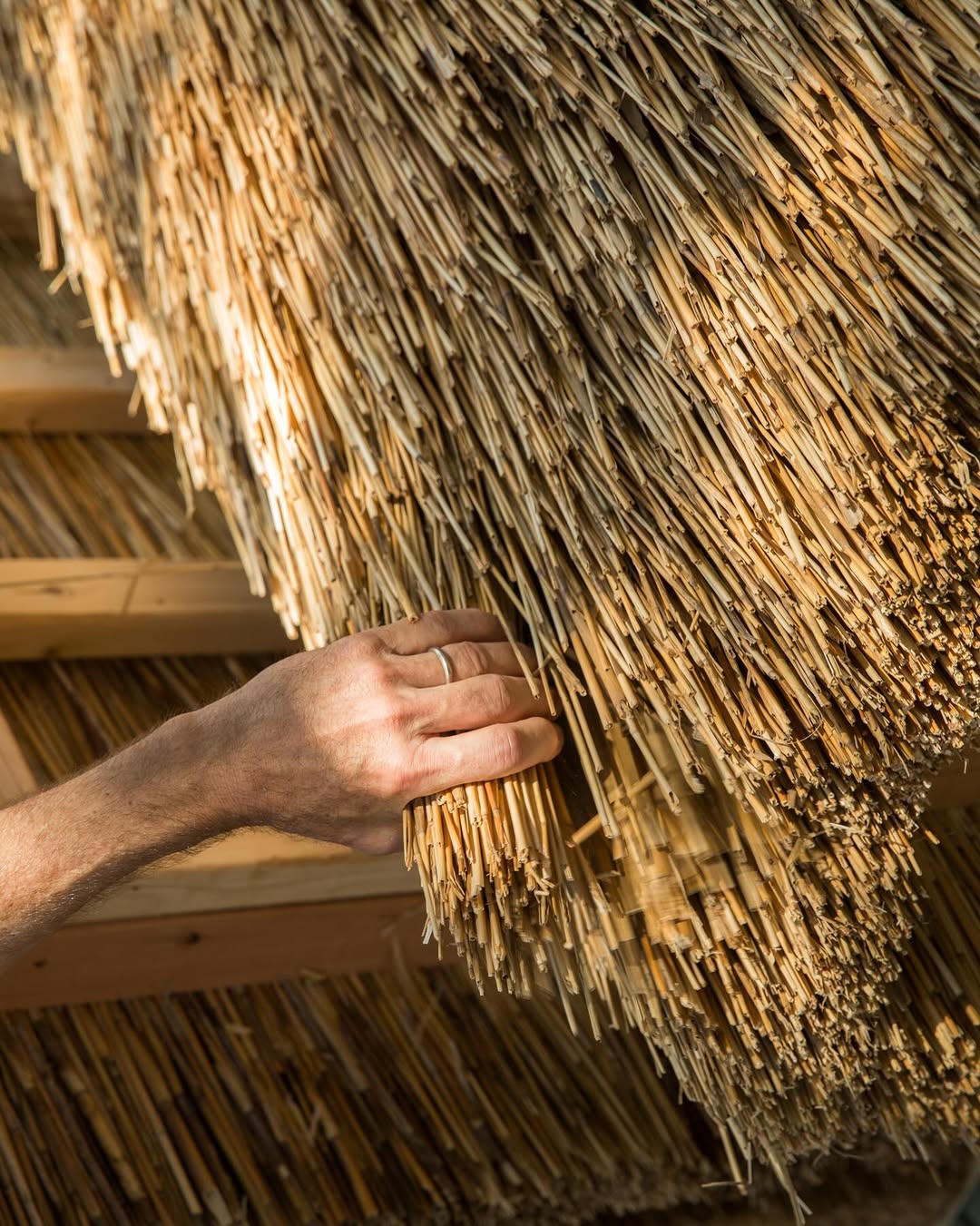 working with straw on a previous workshop at Dookie Agricultural Campus, 2025