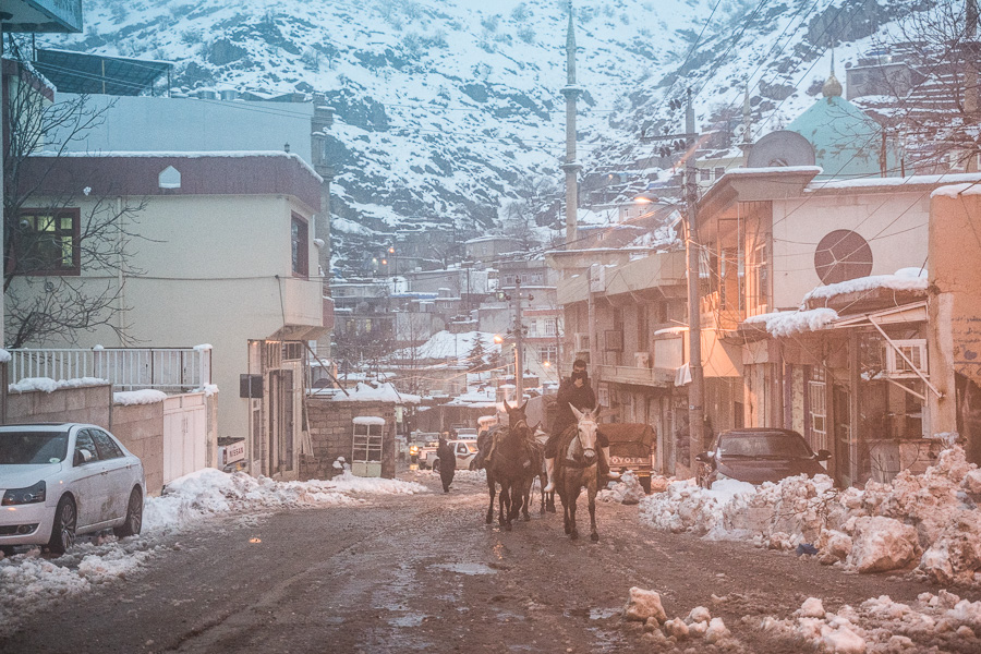 Tawela, Kurdistan, Irak, mars 2019.  Le ballet des mules continue jusqu'&agrave; la nuit. Le trajet.