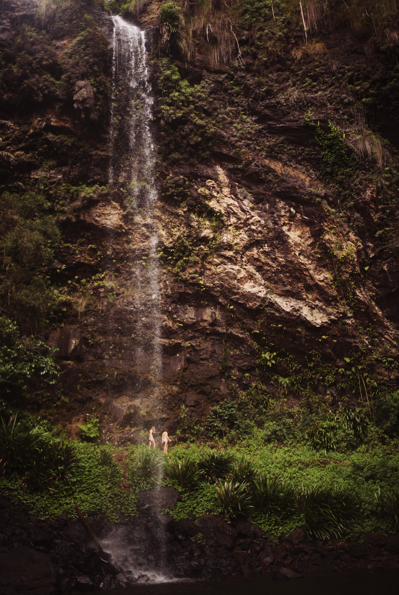 Inland Nature Spots around the Gold Coast – Accor Hotels Magazine