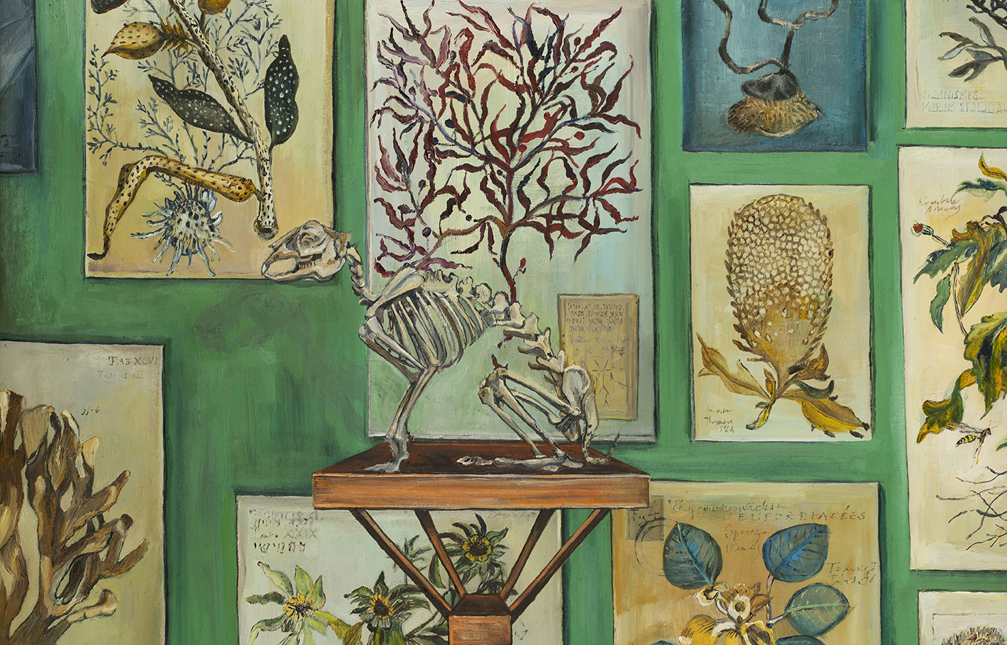 Zoom of El Naturalista VII - L&agrave;mines