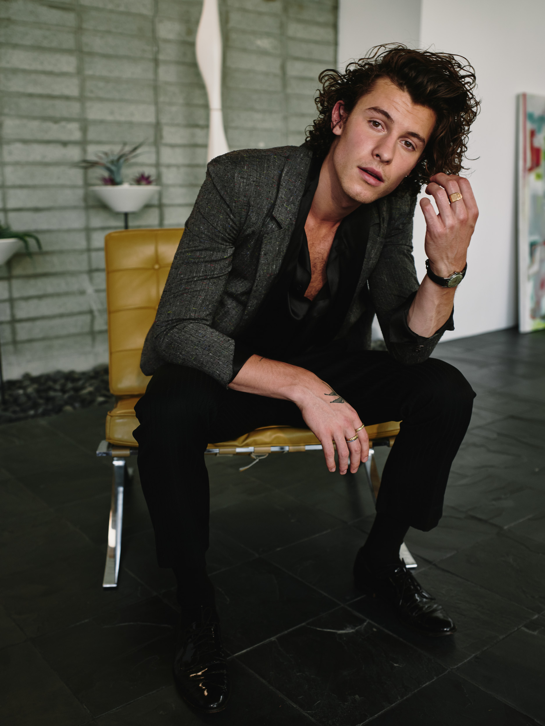 Shawn Mendes Hairstyles And Hair Cuts - Celebrities