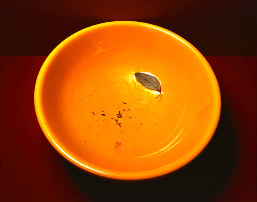 Empty Bowl, 1993