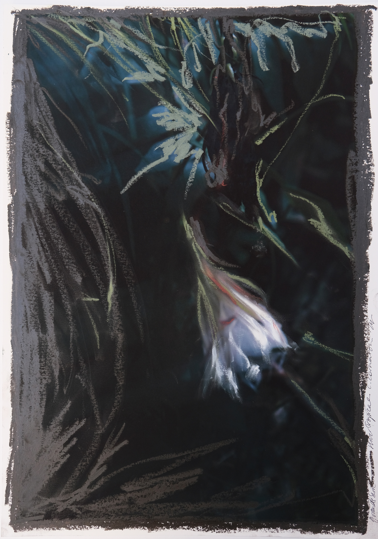 42 x 30 cm