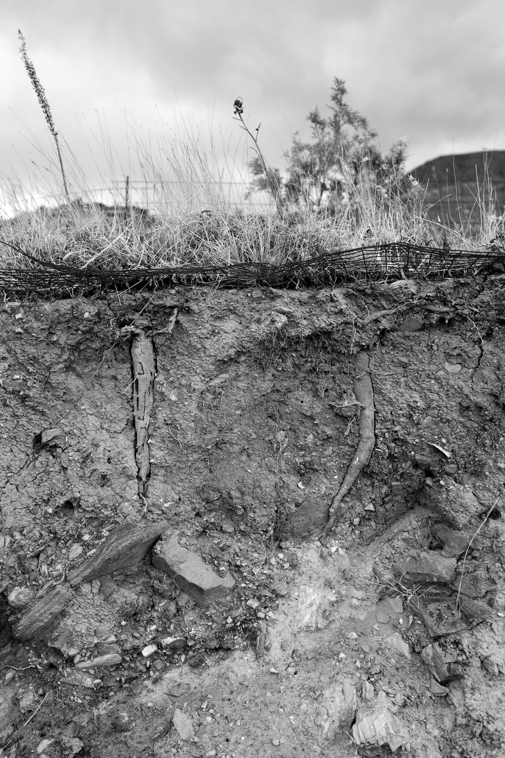 CROSS SECTION, Greece