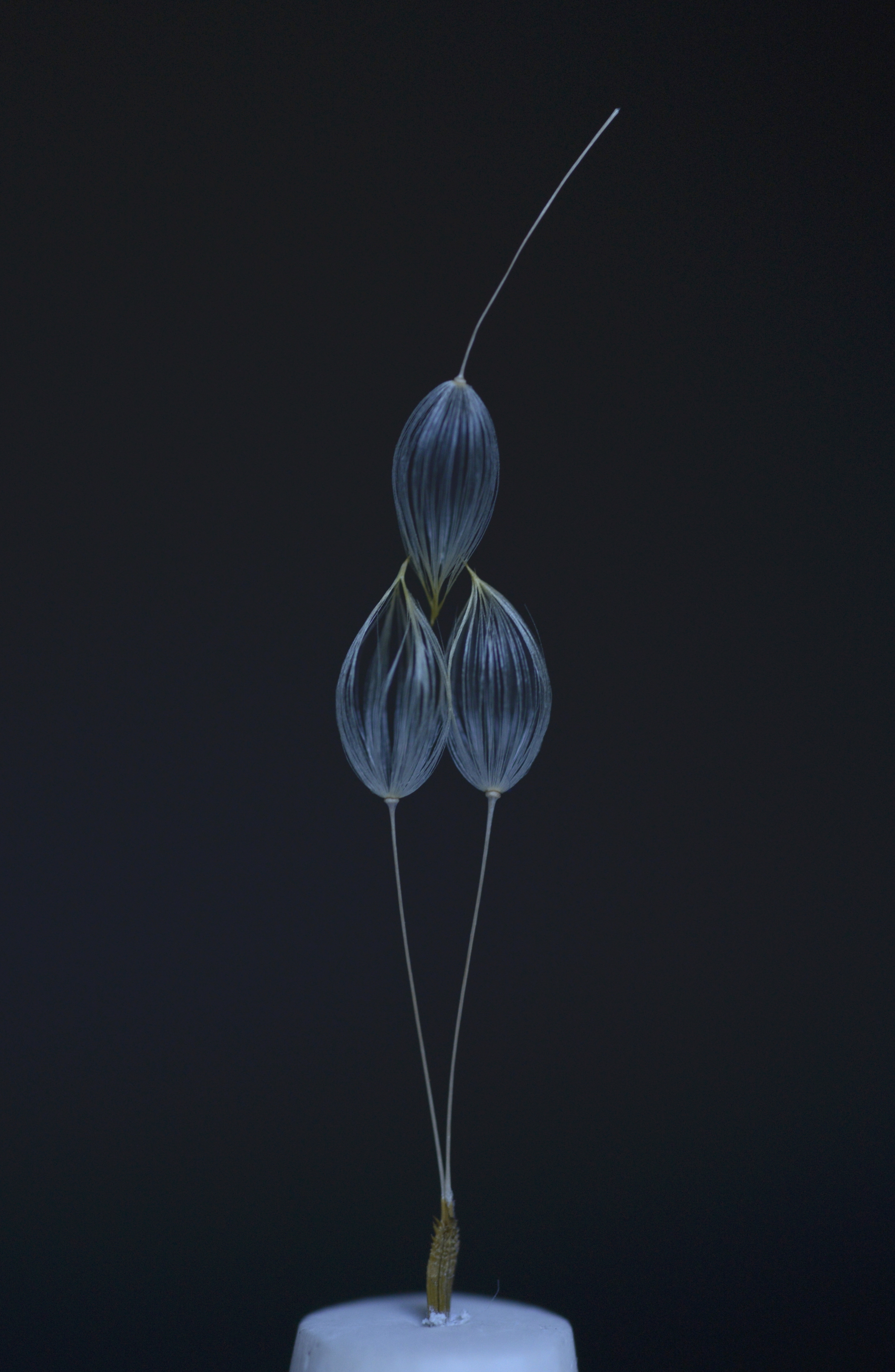 watage20170719 (0.0002g)