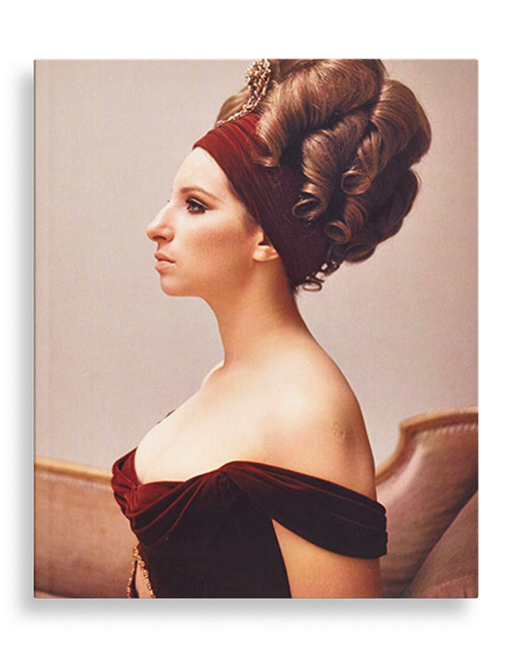 Streisand: In the Camera Eye, 2014