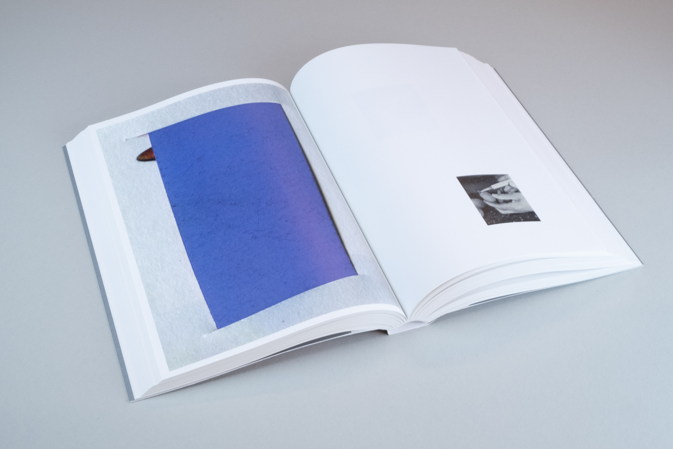 Ruth van Beek, How To Do The Flowers (Art Paper Editions)