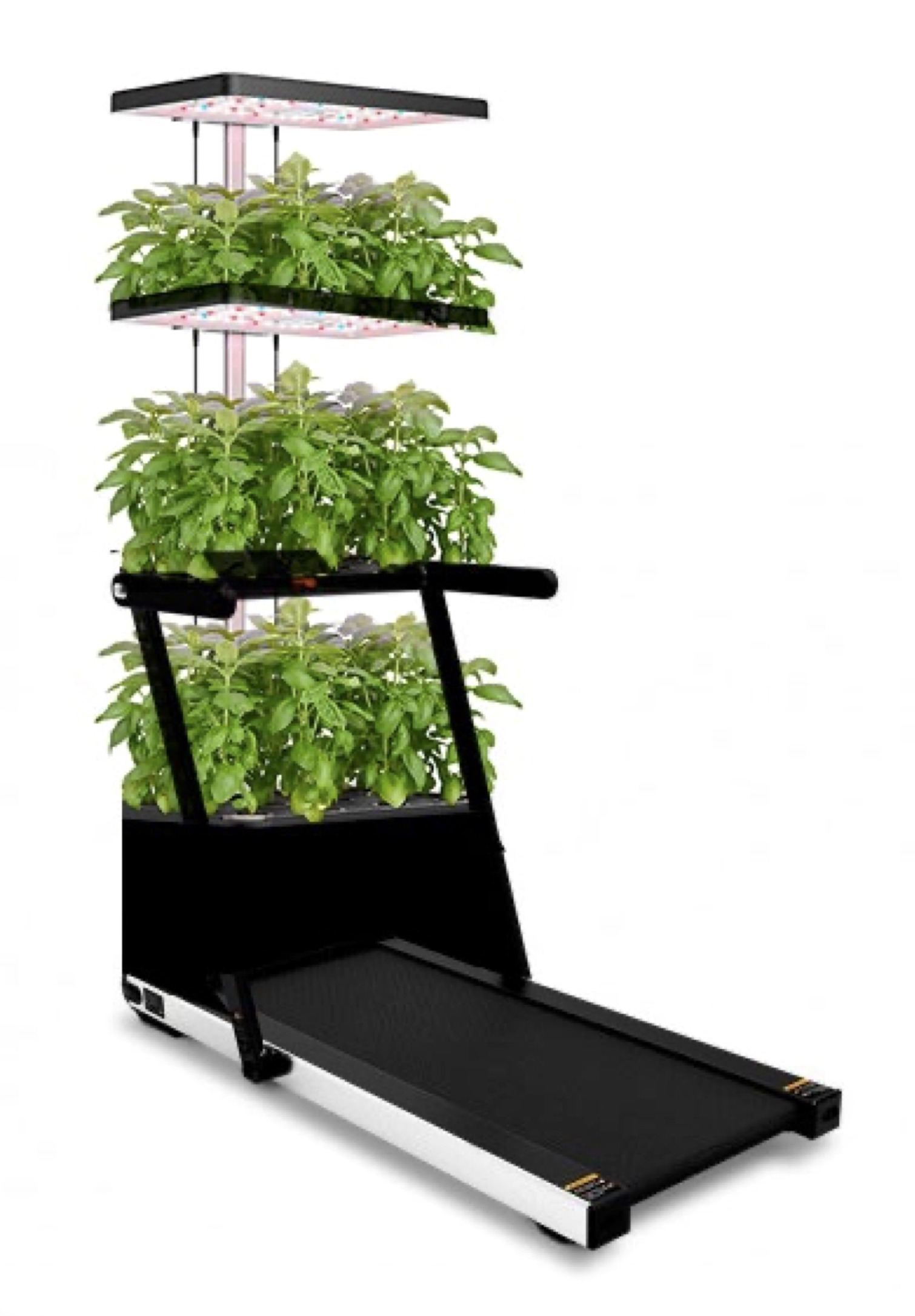 ︎ "Prototipo de huerto aeróbico #1" (2022)