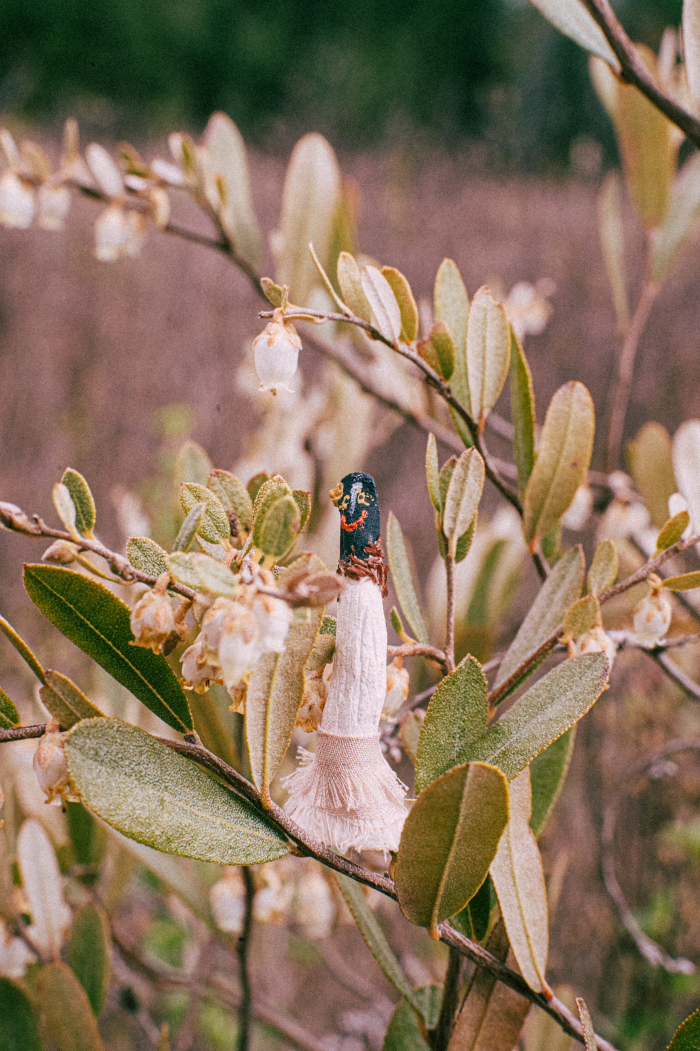 L’heureuse terre cuite et son jupon