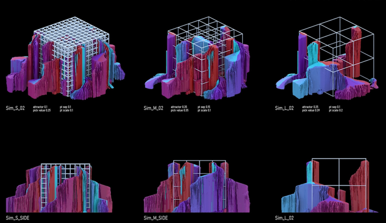 Mycelium Growth simulations