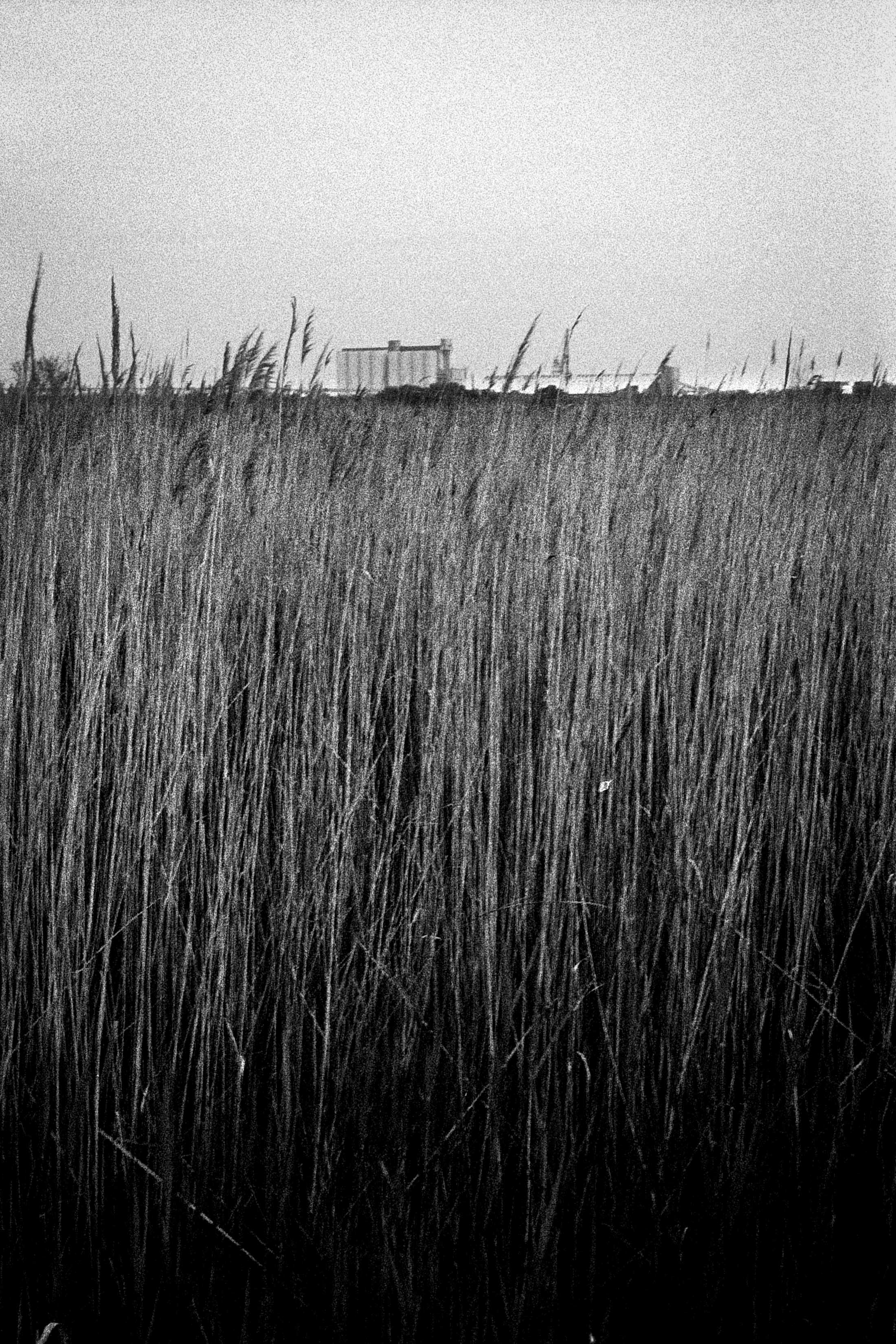 Port Saint Louis, 2023