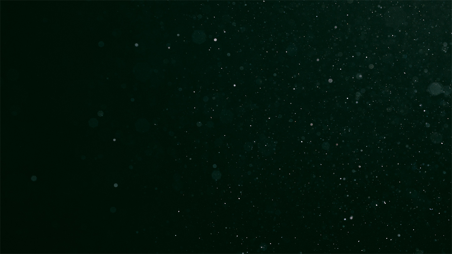 Dust Lockdown / Video Still