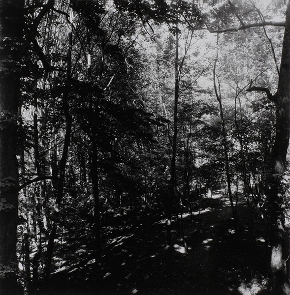 Anna am Nussberg, Braunschweig 2004, Bartabzug 99x99cm