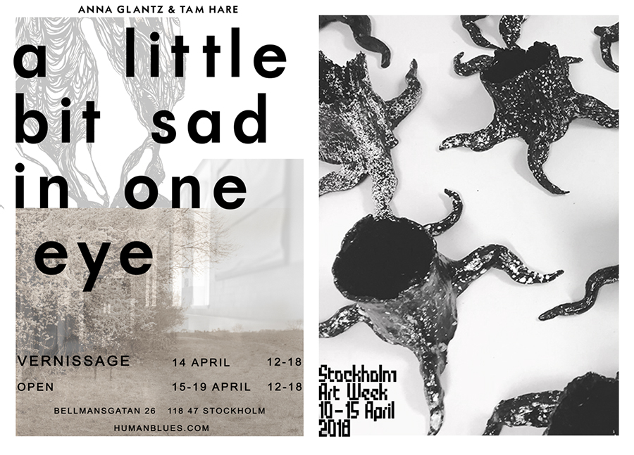 the poster/booklet image links to the Human Blues website 