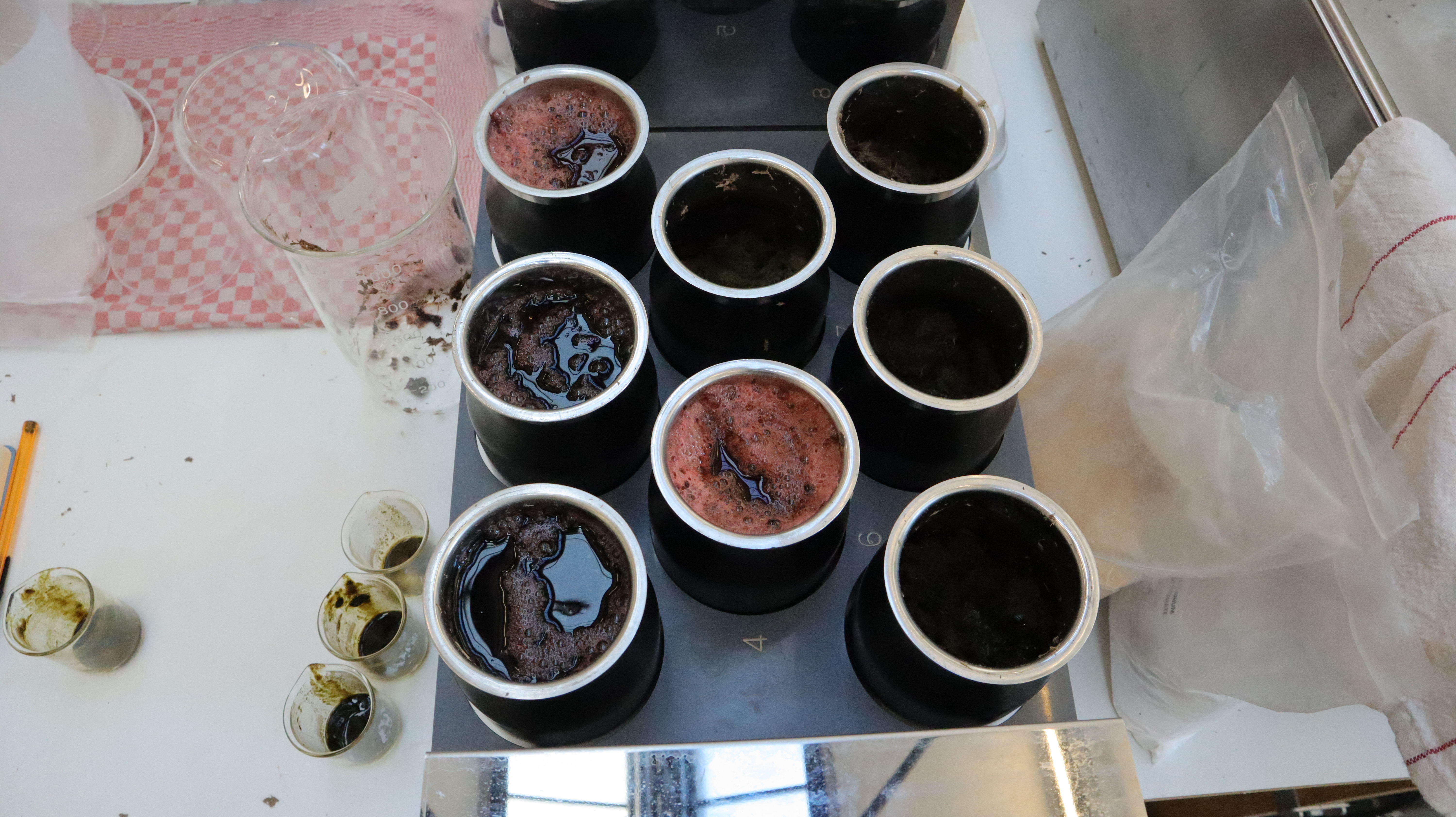 Placing them in metal bechers to be process by the machine seen after