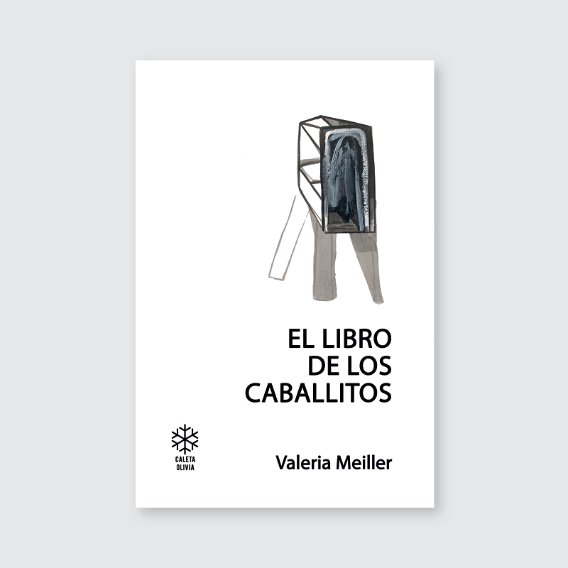 EL LIBRO DE LOS CABALLITOS