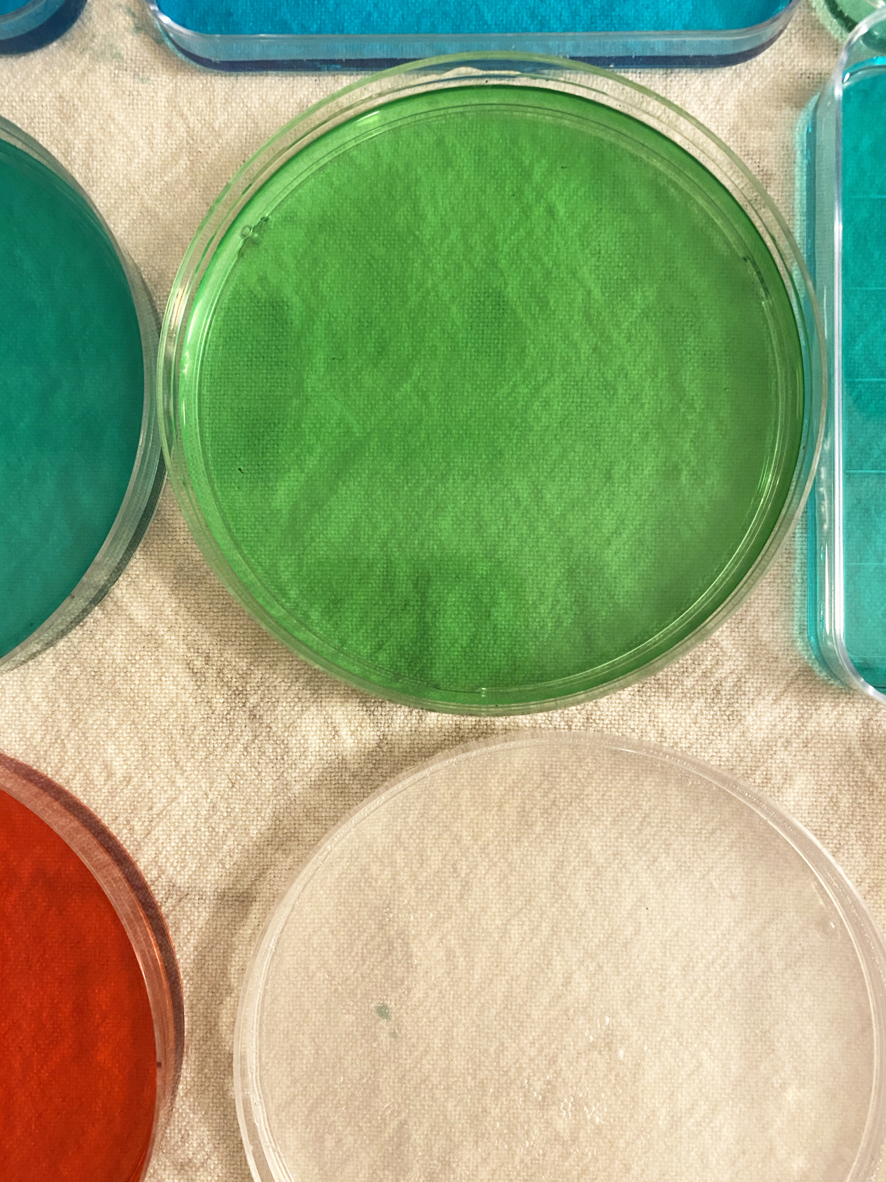 homemade bioplastic materials