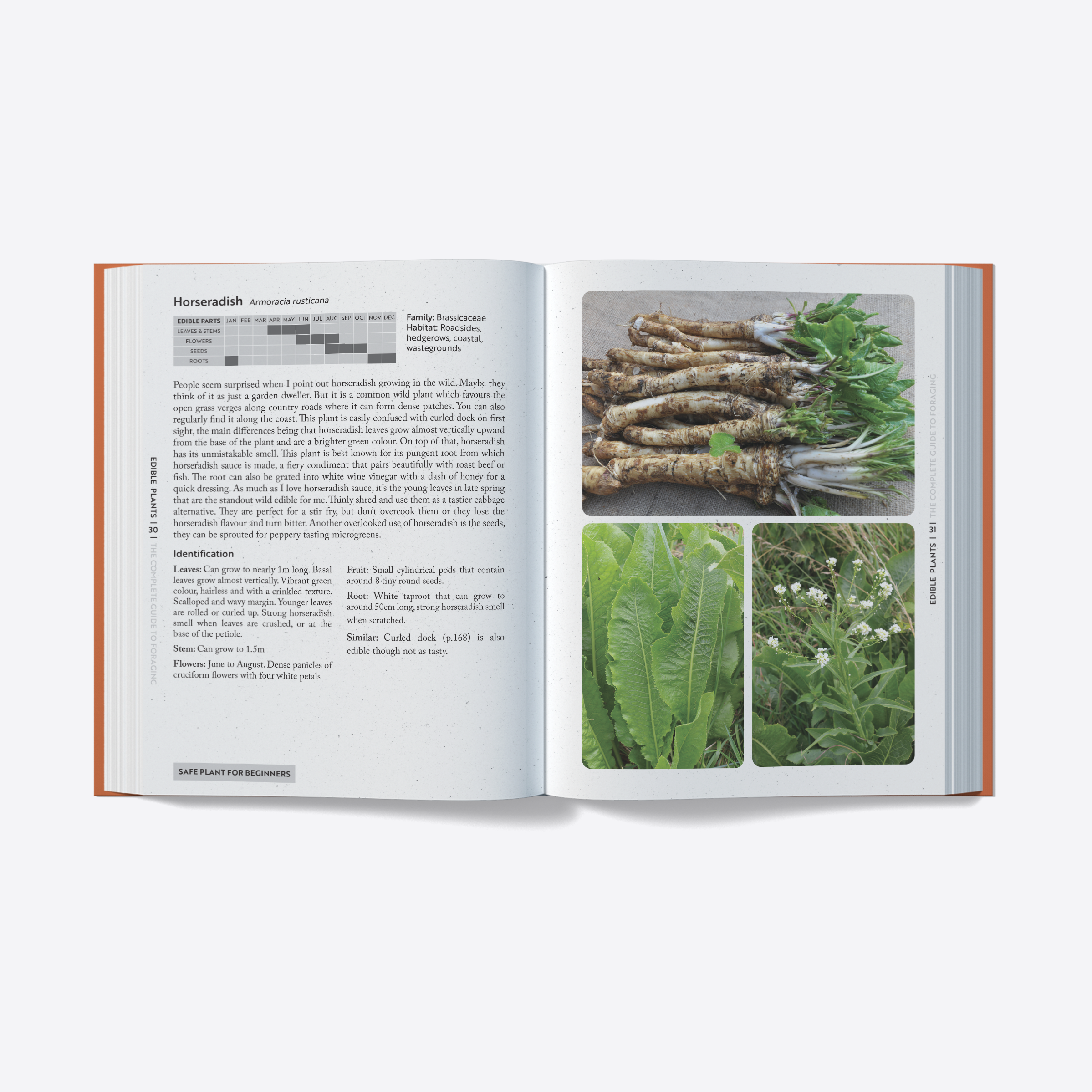 published by UK Wildcraft, Aug 2025 (photographs © UK Wildcraft)