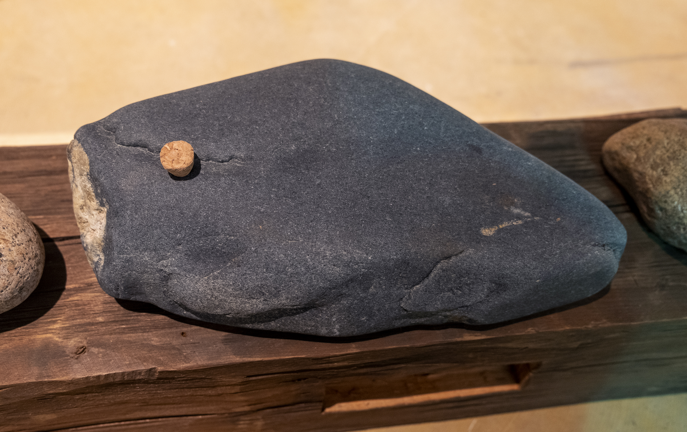 Dans l'œil du béluga, Galerie d’art Louise-et-Reuben-Cohen de l'Université de Moncton, 2025
