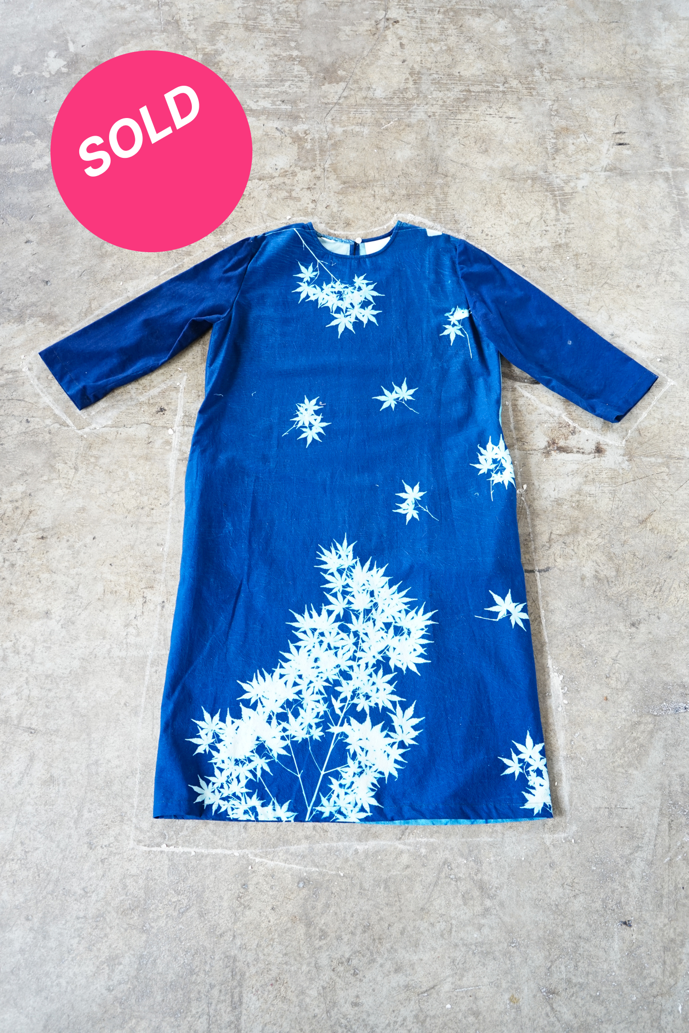 Japanese Maple Postitive/Negative #2