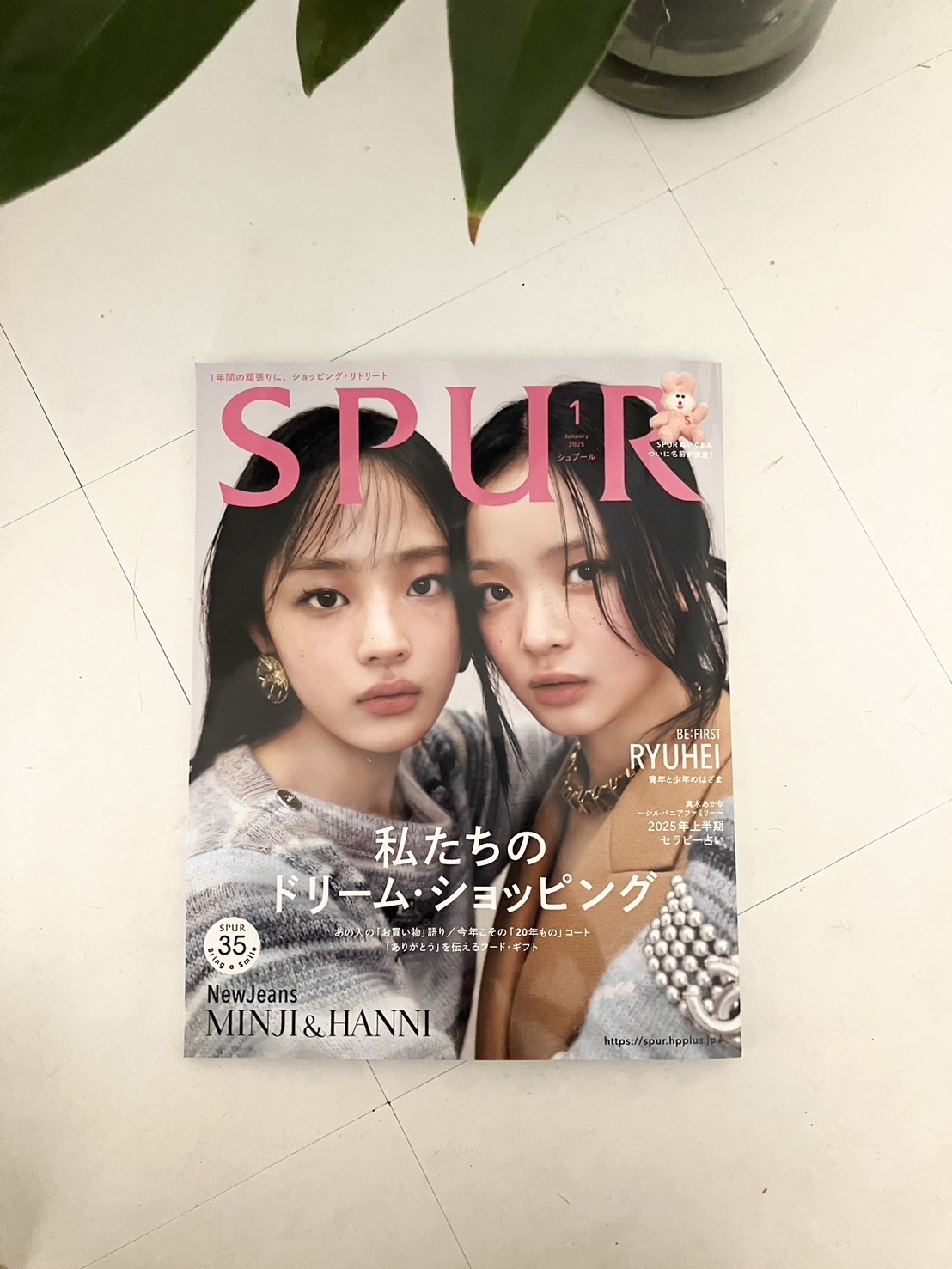 私たちのドリーム・ショッピング / SPUR