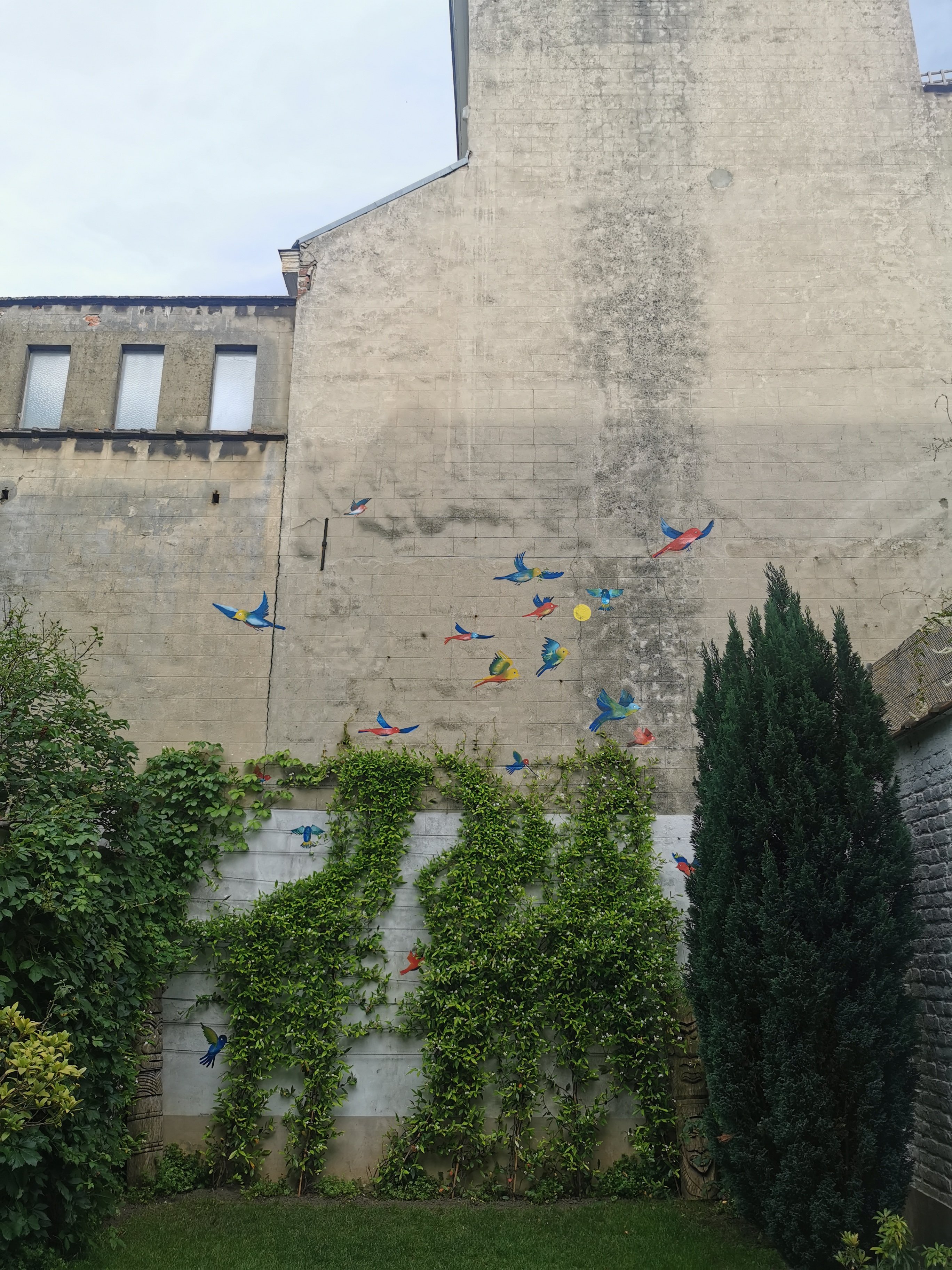 Birds, Private garden, Ixelles, Belgium, 2024