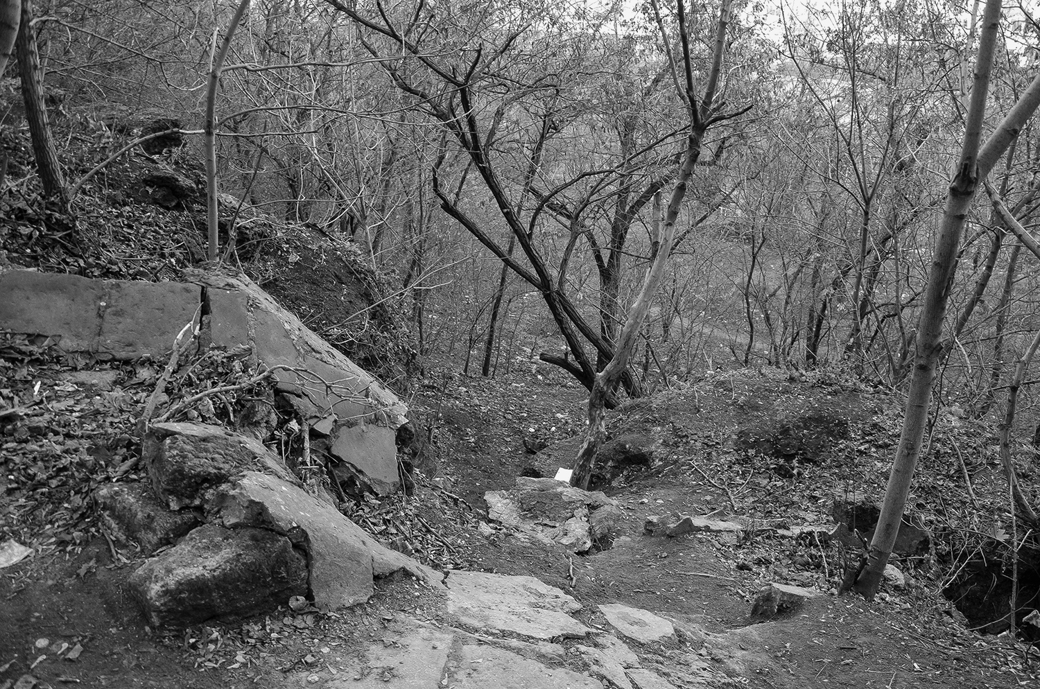 Labourbe Hill_Site_06