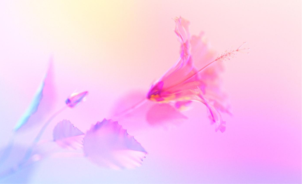 Future Proof Branding