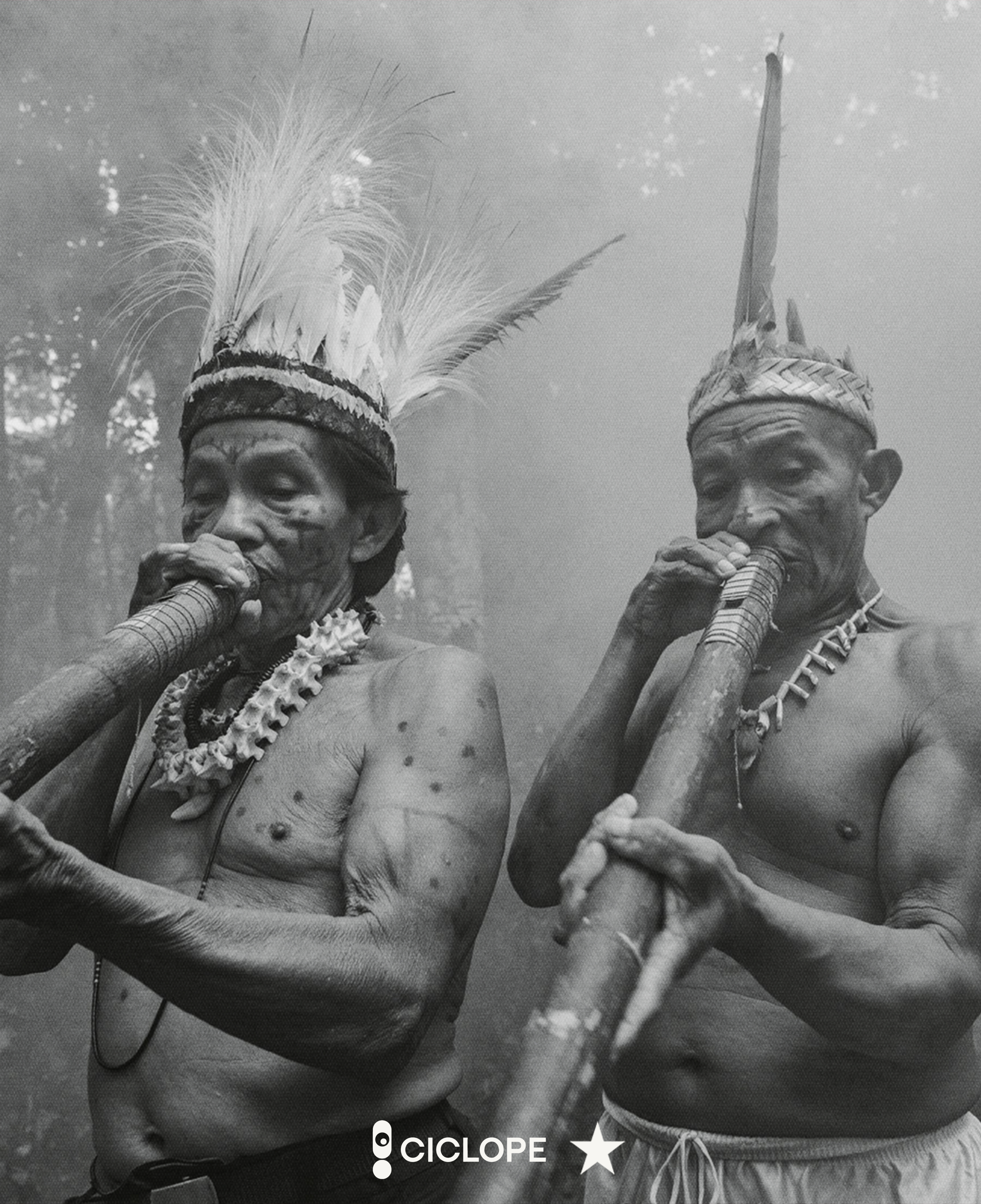 ↳ People of the Forest - Socio Environmental Inst