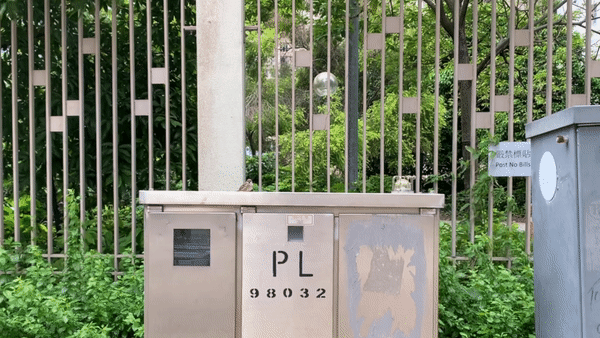 TRANSFORMER BOX 09:28 TSEUNG KWAN O