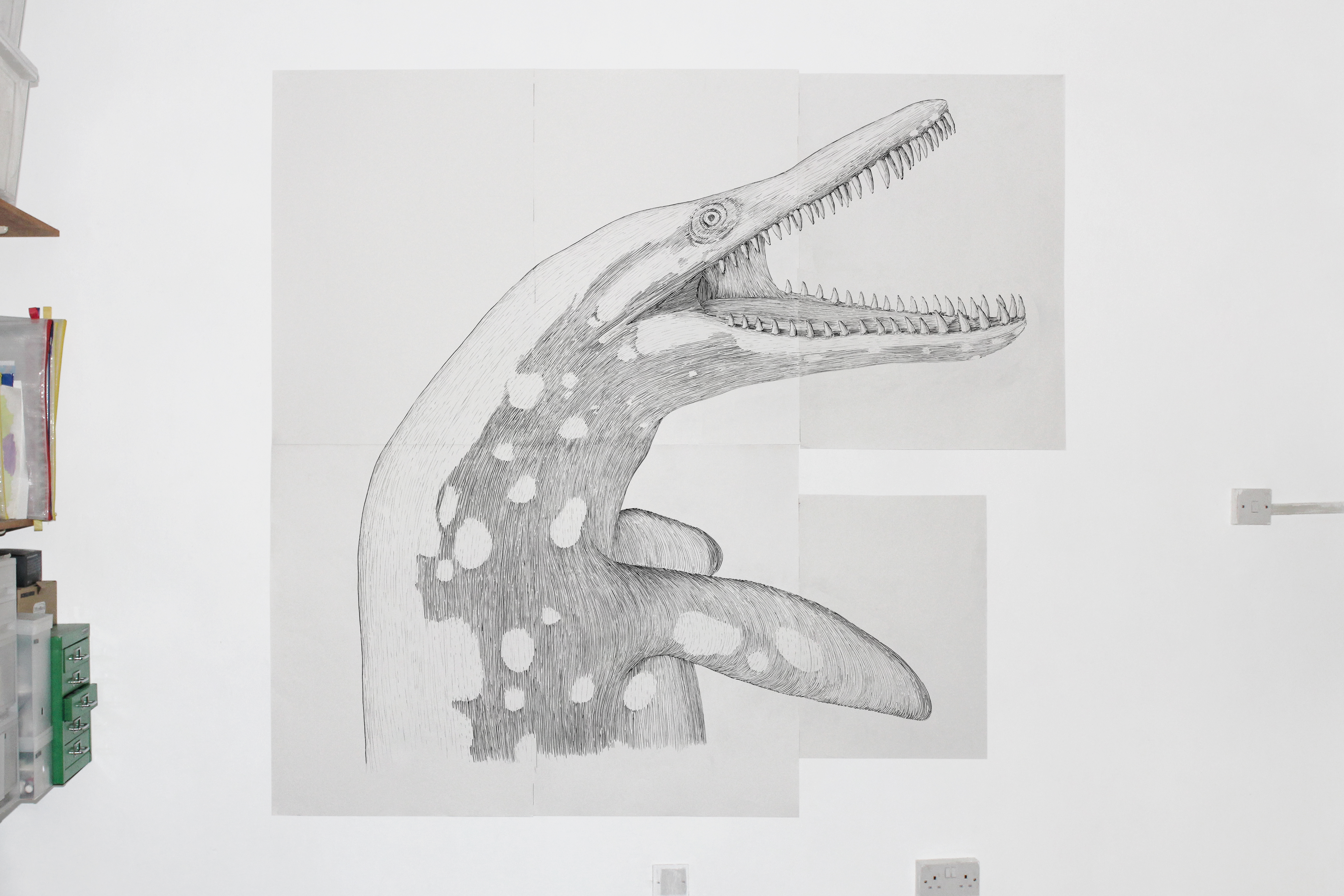 Pliosaur - Buckinghamshire County Museum