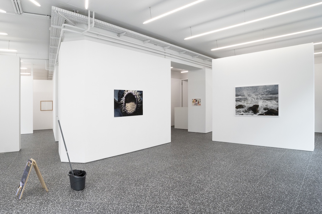 Installation View, “Telepathy Curating presents: Teases and Synthesis; Empty Threats, Vienna Love and Anxiety Reality Paradoxes”, curated by, kuratiert von Kristoffer Cezinando Karlsen und Josef Strau, City Galerie Wien und Layr, Wien, 2025. Photo: Paul Makowsky.