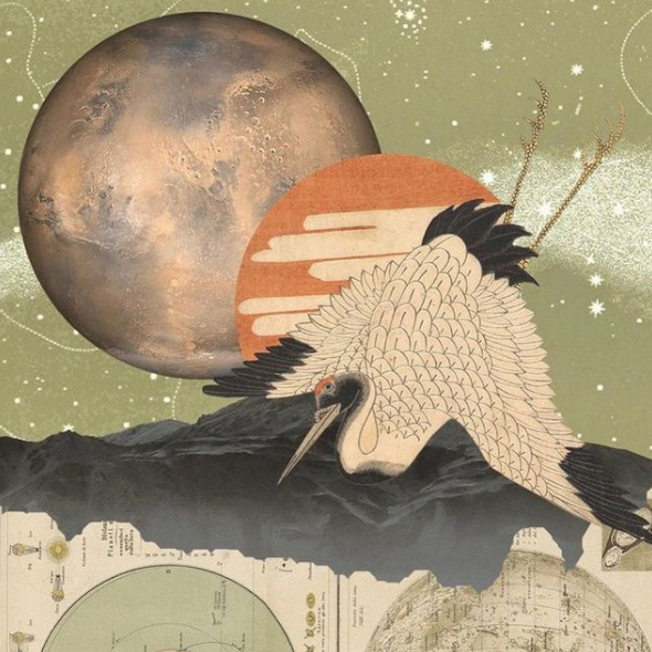 Rocio Fernández Lorca