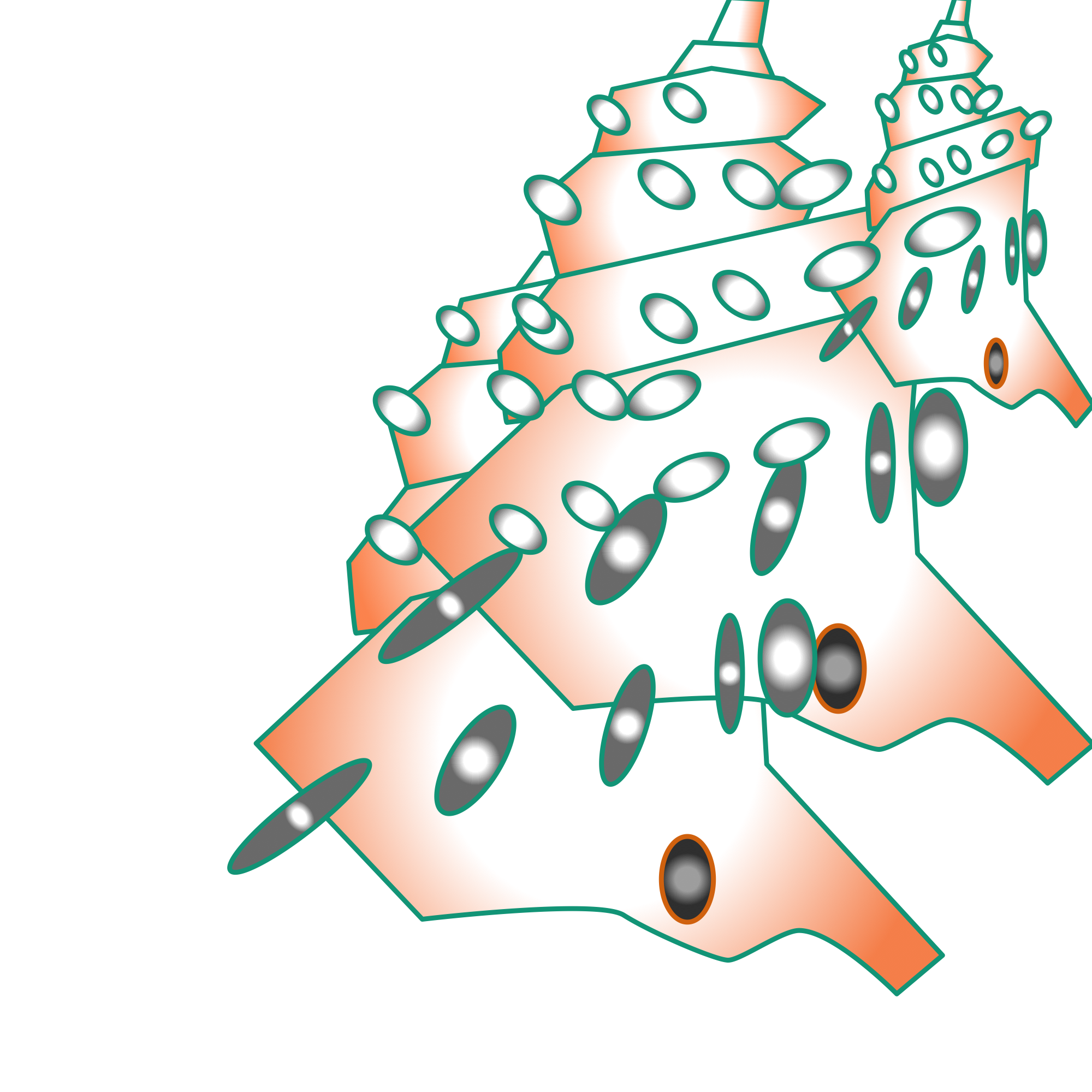 「 a Conch with a Small hole 」