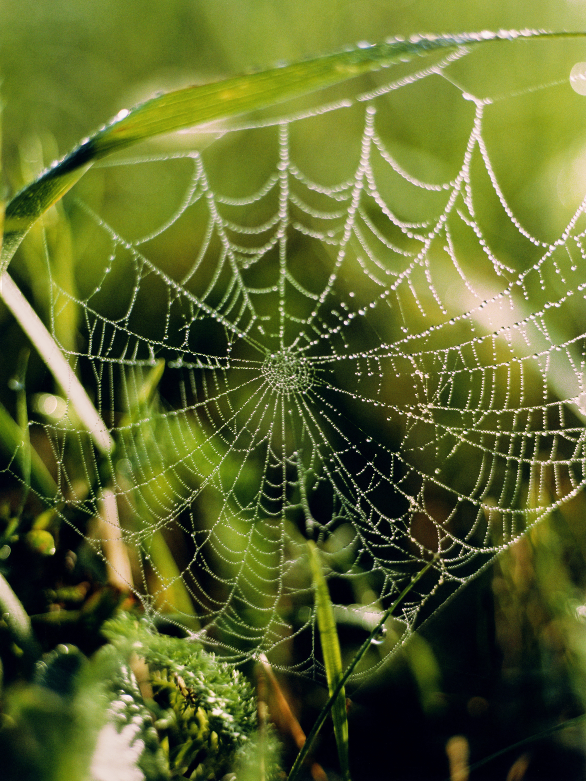 The Greatest Magazine,  11/13 