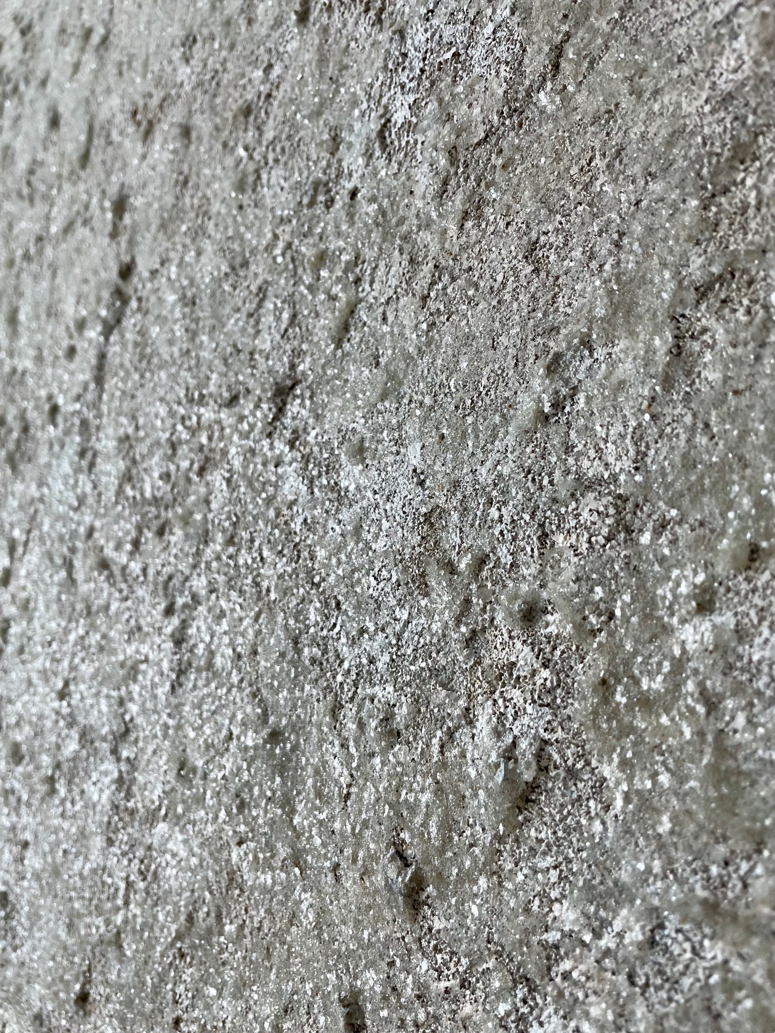 When the Earth Bled Silver (detail)