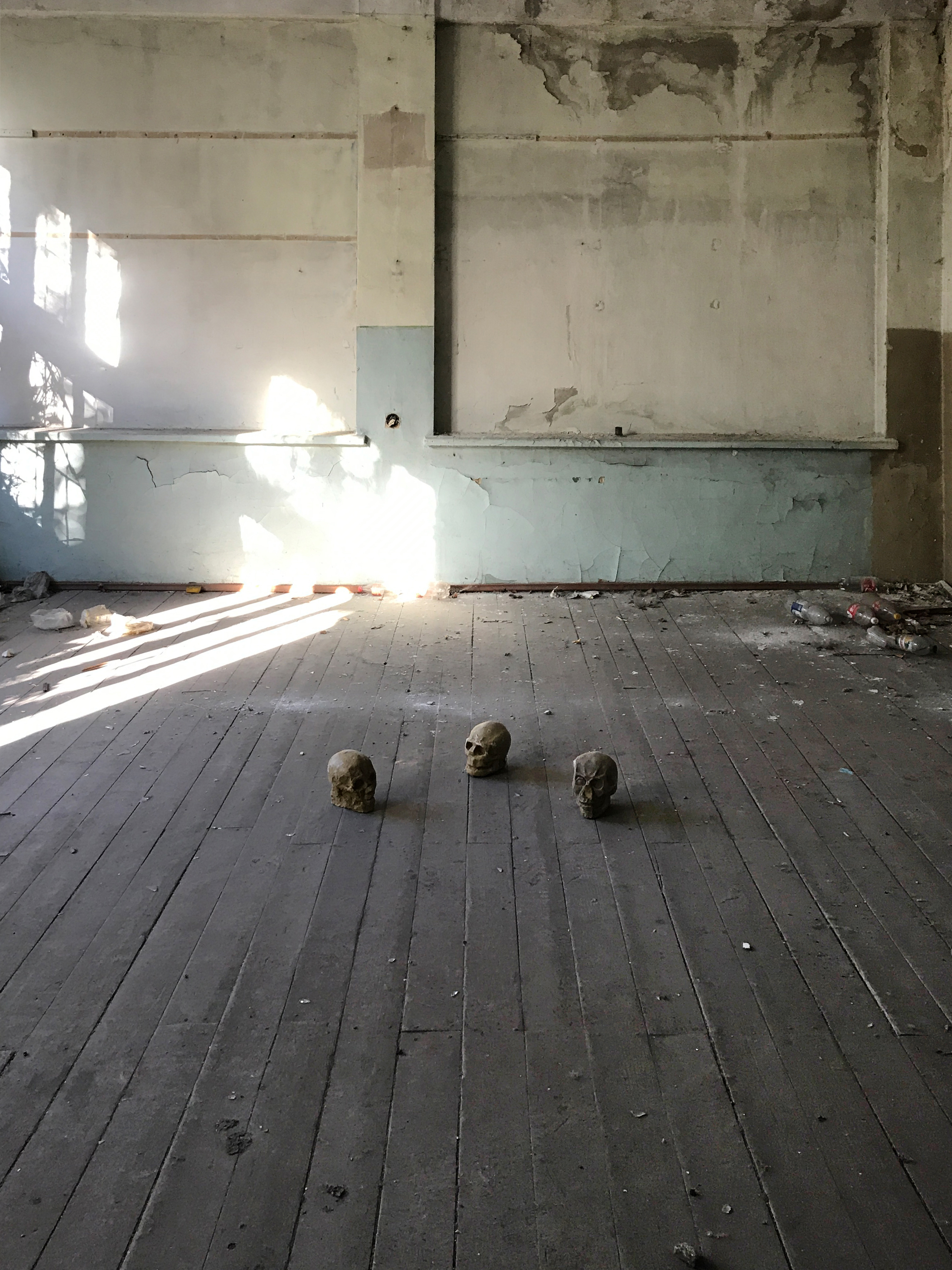 UNTITLEDPhoto, sizes variables, 2017Sculptures of skulls are found in an abandoned art school where I studied