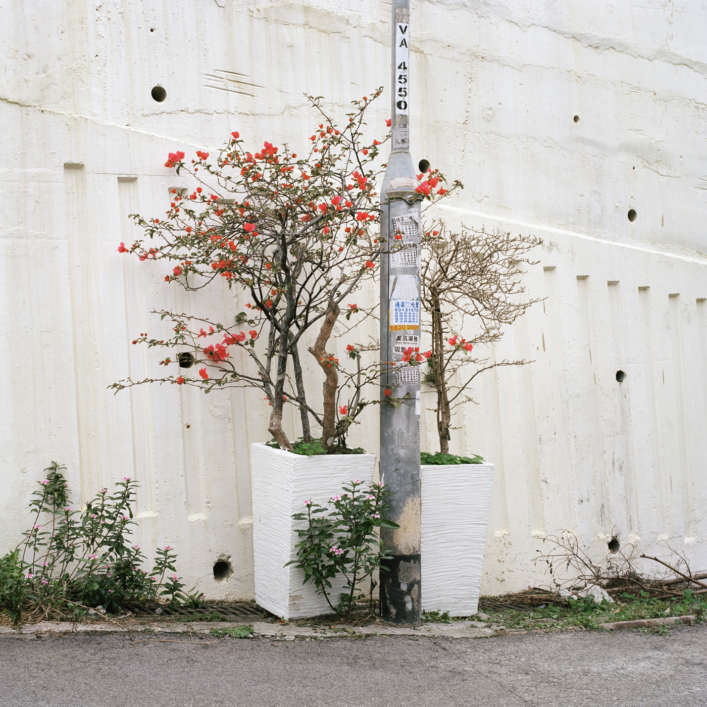 Hong Kong Village IV, 2015