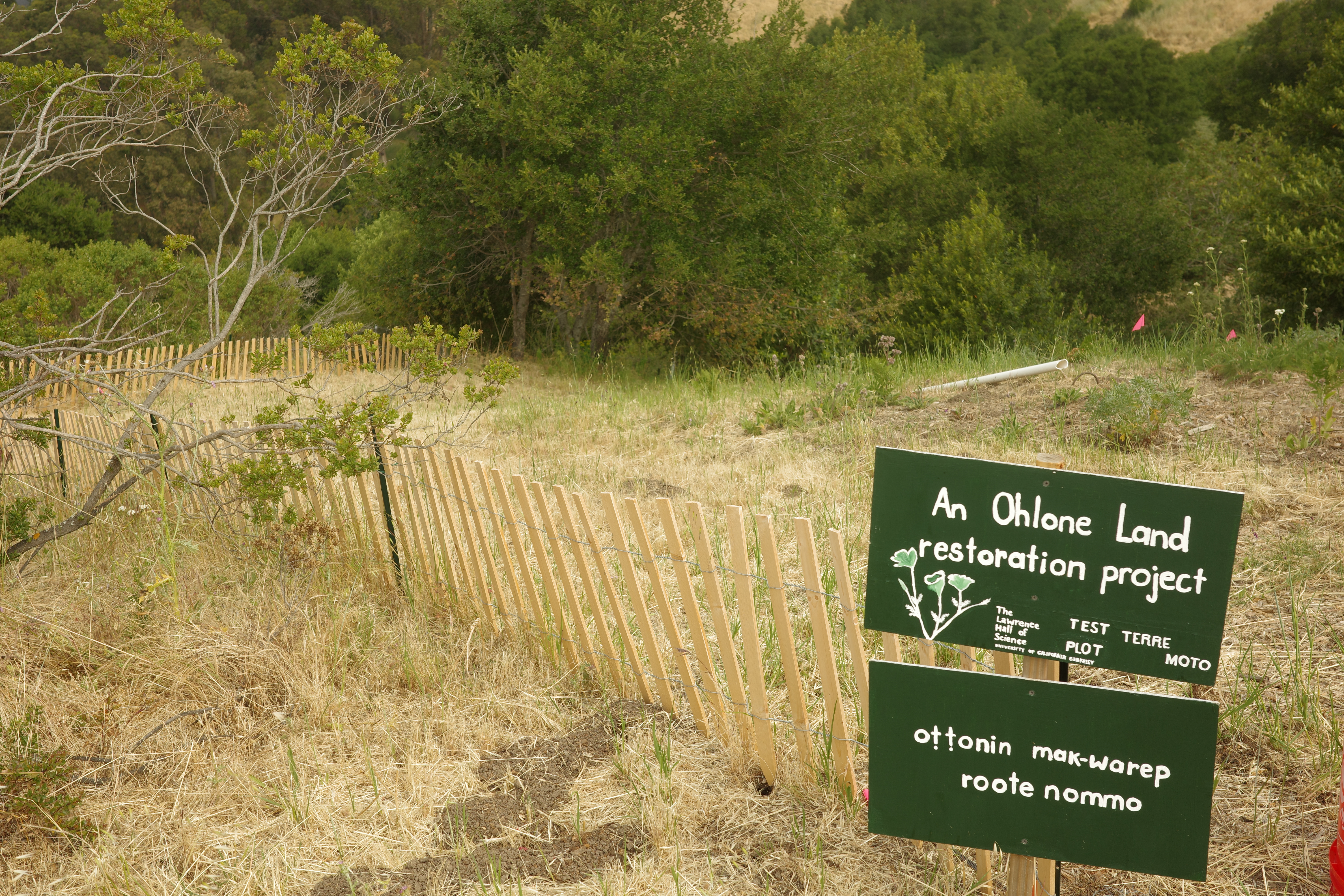 Repainted the sign in green (thank you Camilla) so it doesn't show dirt