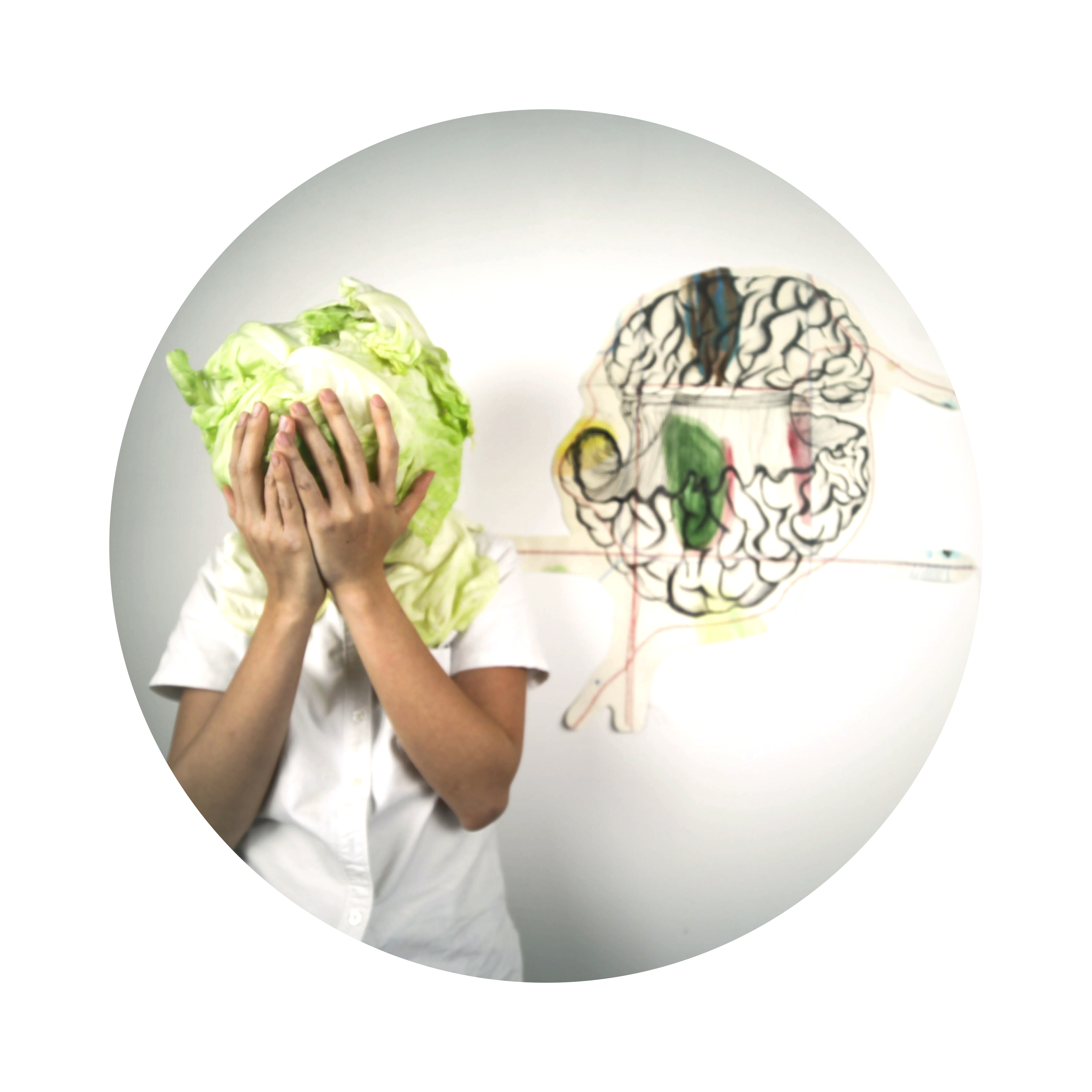 THE SURRENDER OF SWEET SATIRE